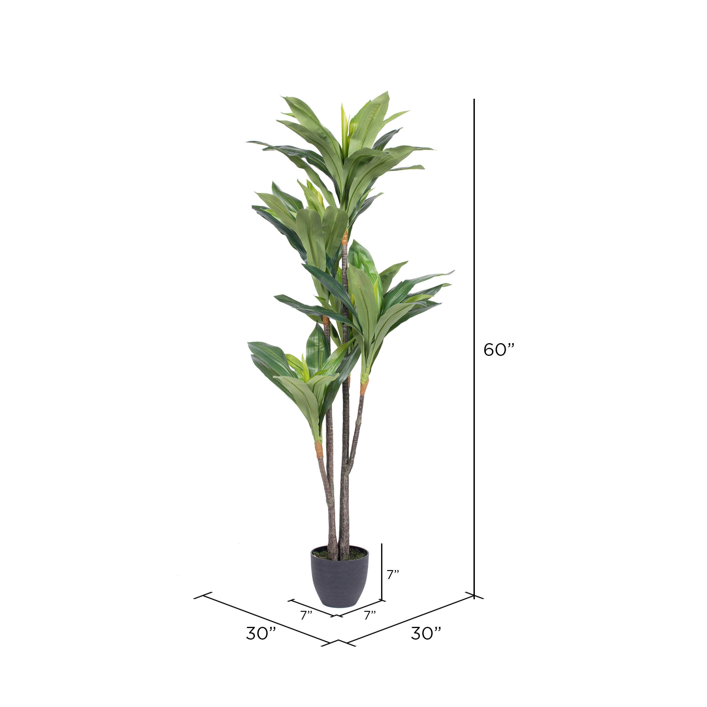 5ft. Potted Artificial Dracaena Tree