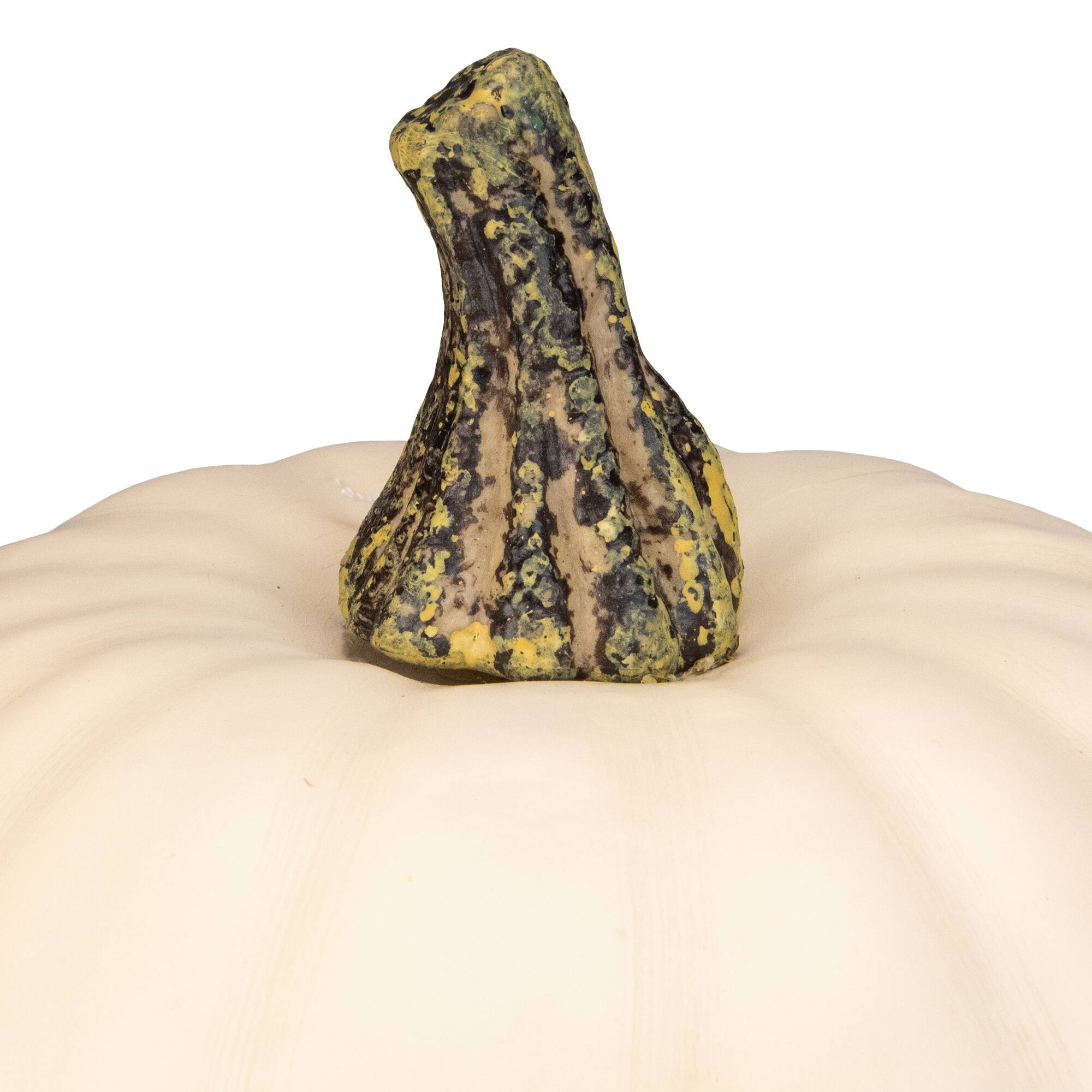 8.5&#x22; Cream Pumpkin Tabletop D&#xE9;cor