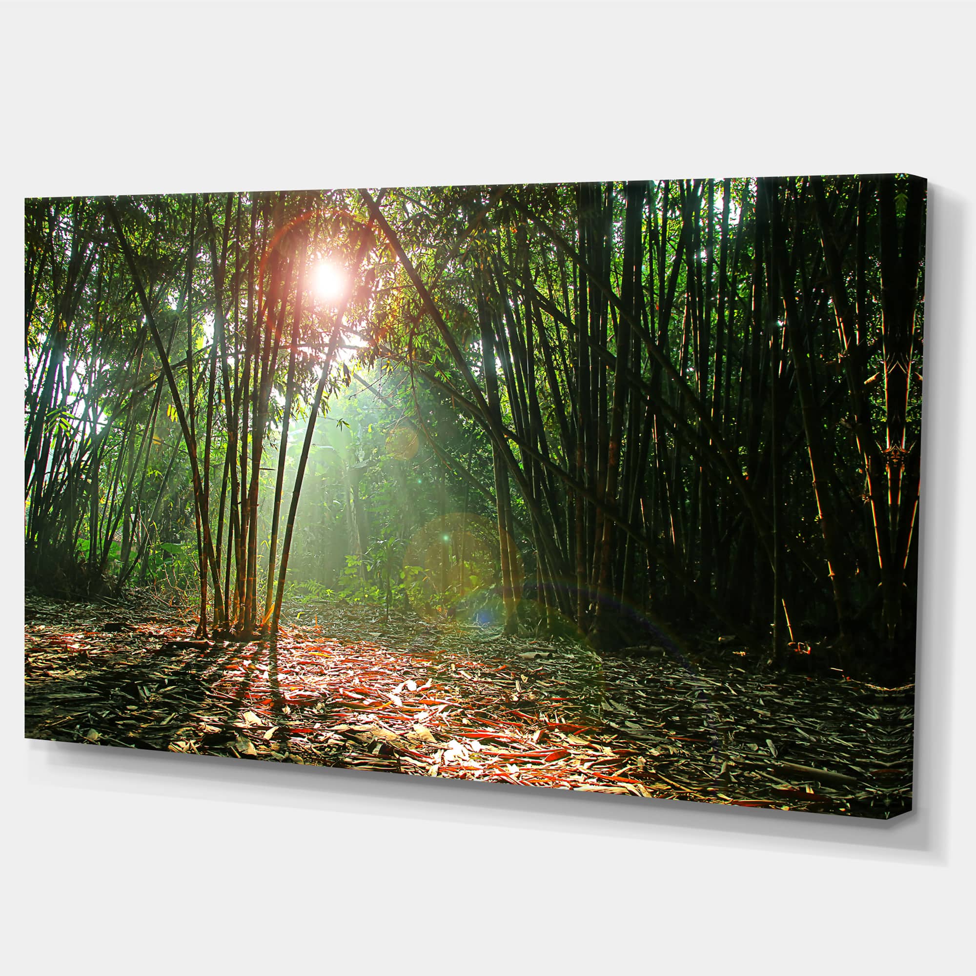 Designart - Amazing Green Forest at Sunset - Large landscape Canvas Art Print