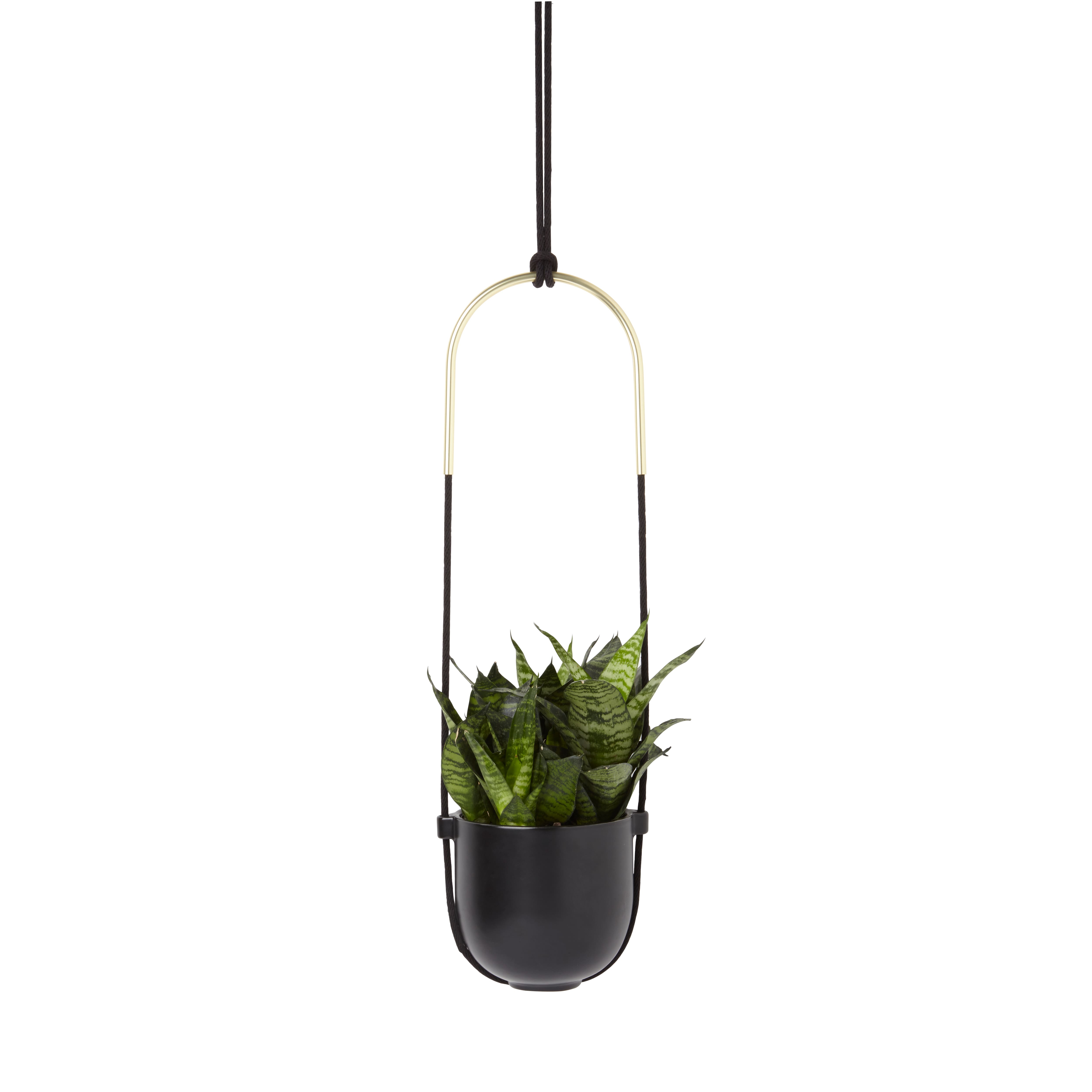 Umbra Black Bolo Hanging Planter