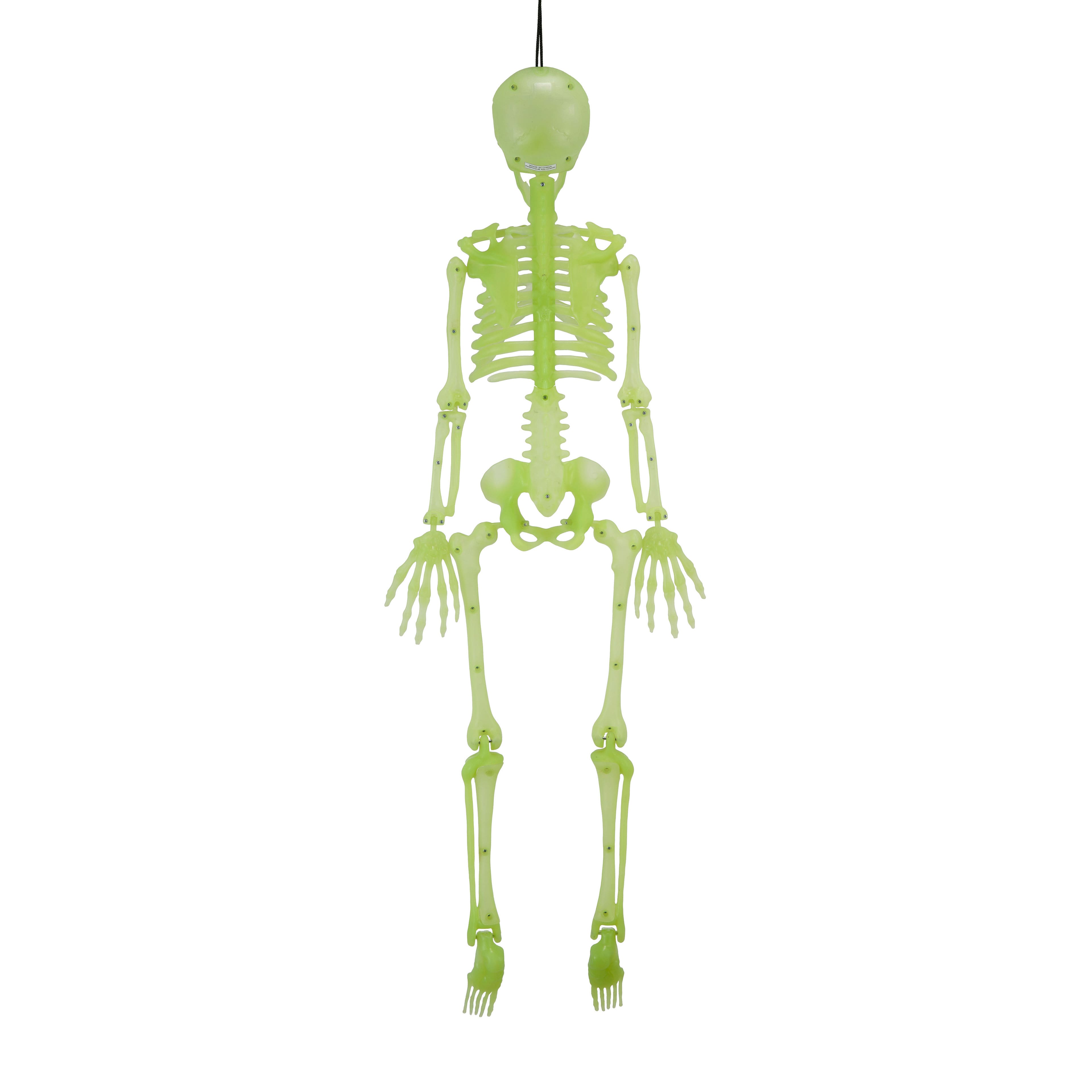 3ft. Glow-in-the-Dark Skeleton by Ashland&#xAE;