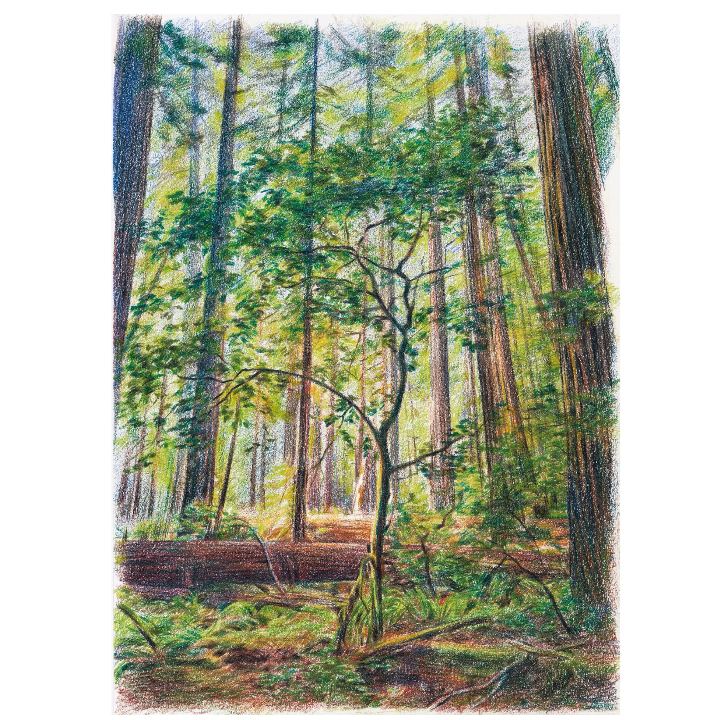 Faber-Castell&#xAE; Goldfaber Landscape Color Pencils