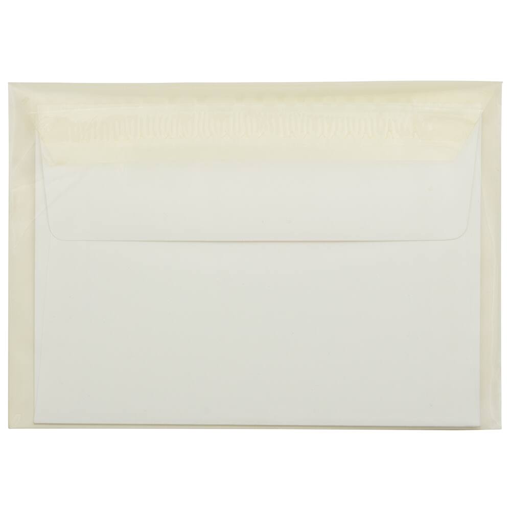 JAM Paper 5.063" x 7.188" Cello Sleeves with Self Adhesive Closures, 100ct.