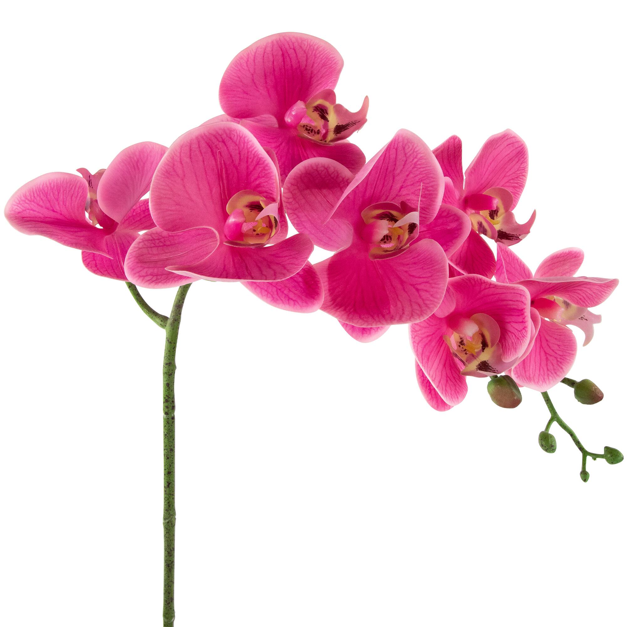 24&#x22; Real Touch&#x2122; Pink Orchid in a Striped Ceramic Pot