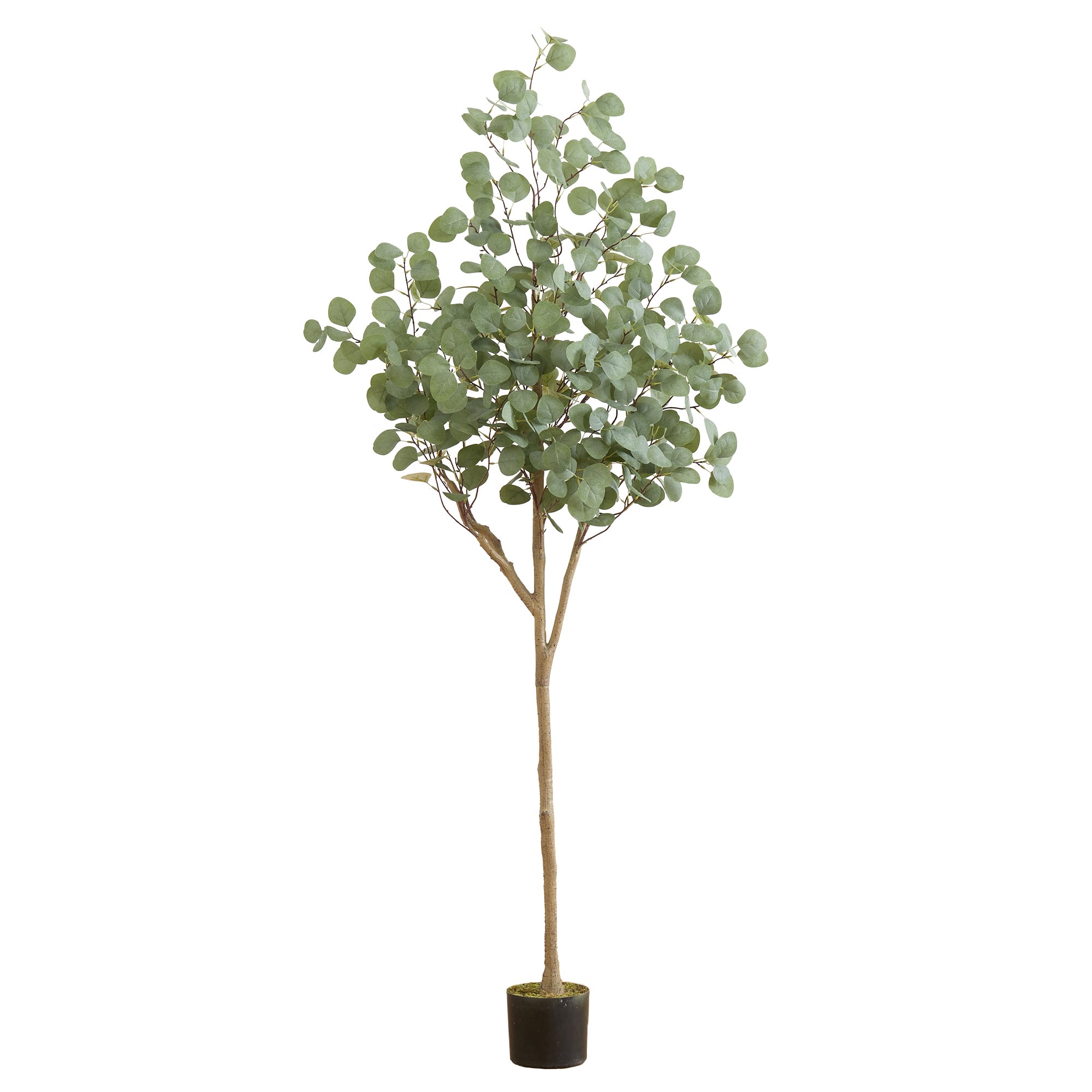 6ft. Potted Artificial Eucalyptus Tree | Michaels