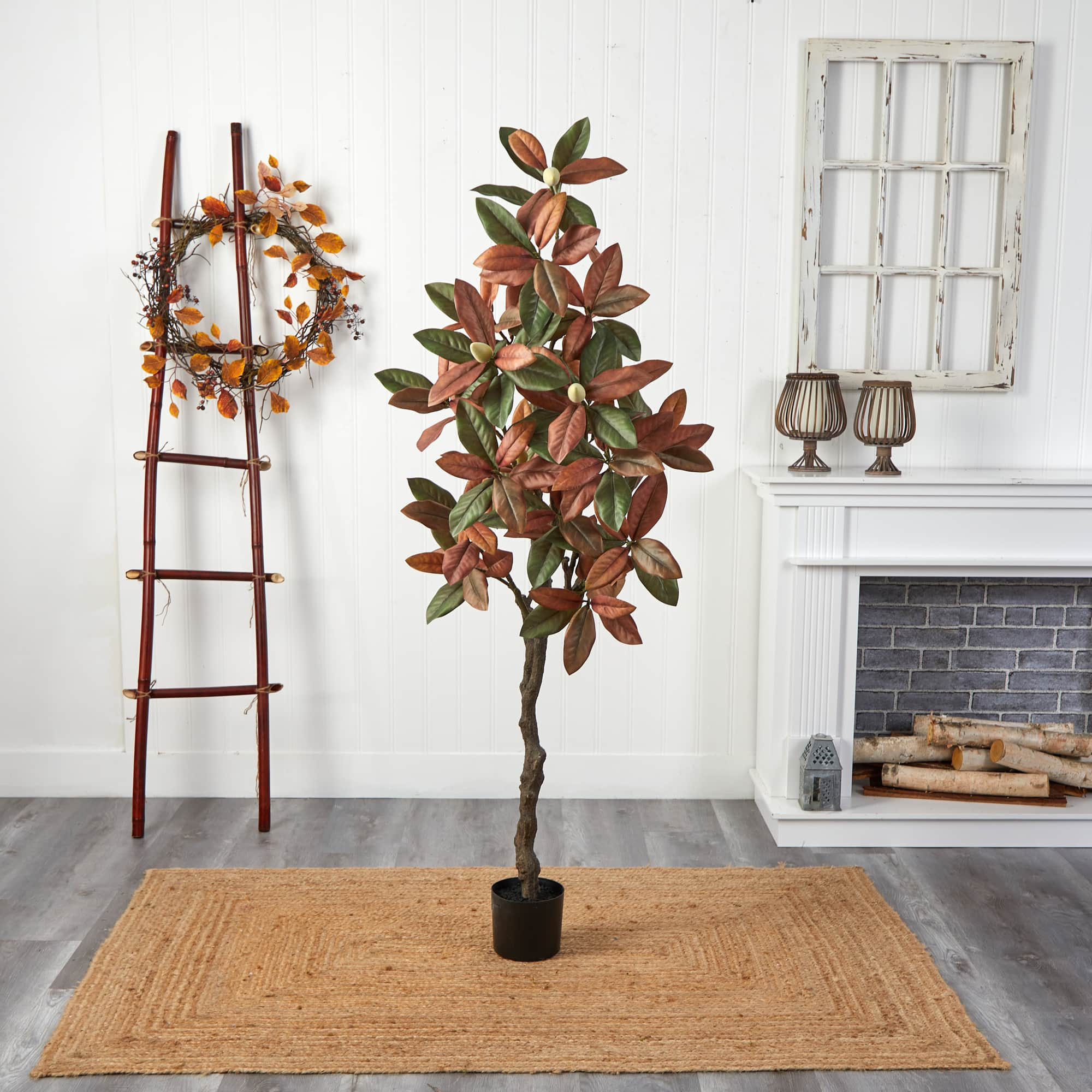 6ft. Potted Fall Magnolia Tree