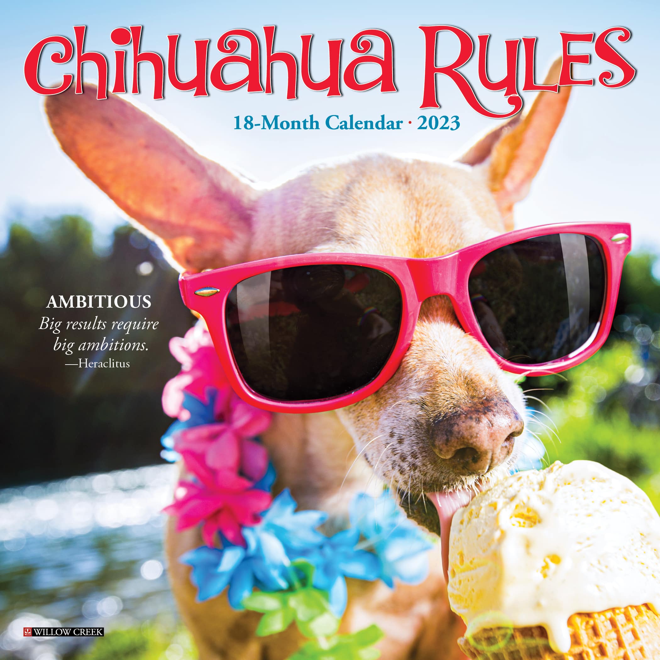 2023 Chihuahua Rules Mini Wall Calendar Michaels