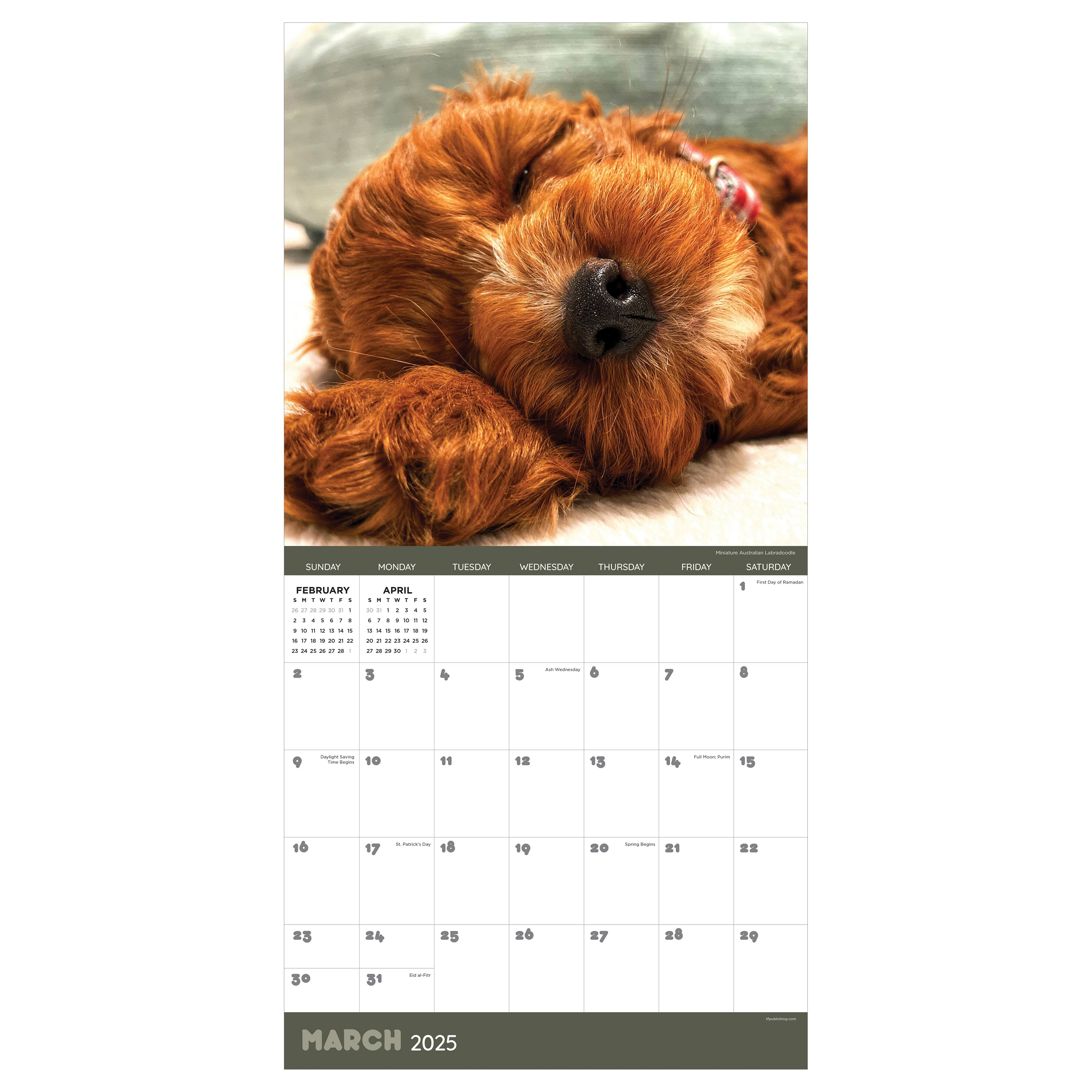 TF Publishing 2025 Dog Dreams Wall Calendar
