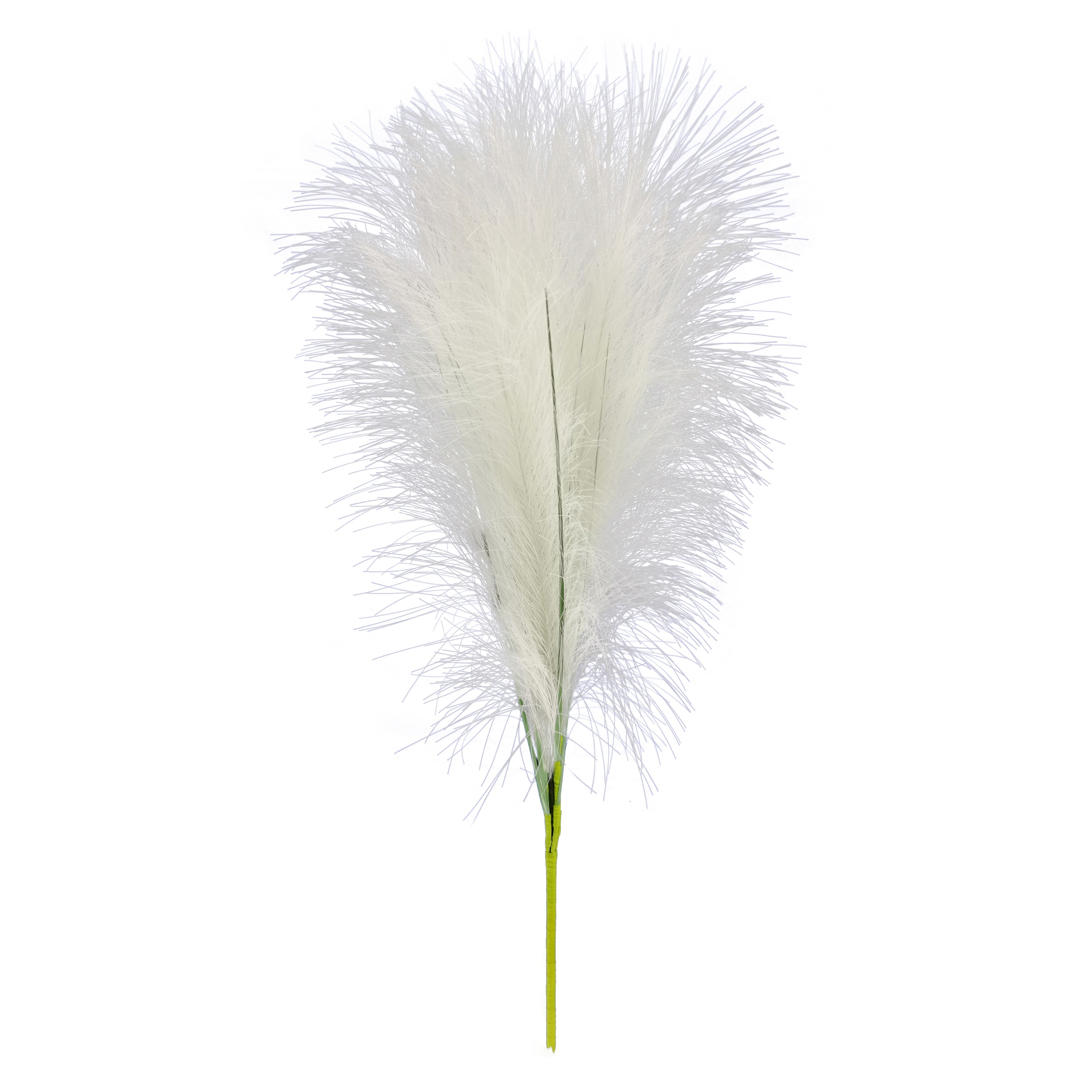 24&#x22; Pampas Grass Bush by Ashland&#xAE;