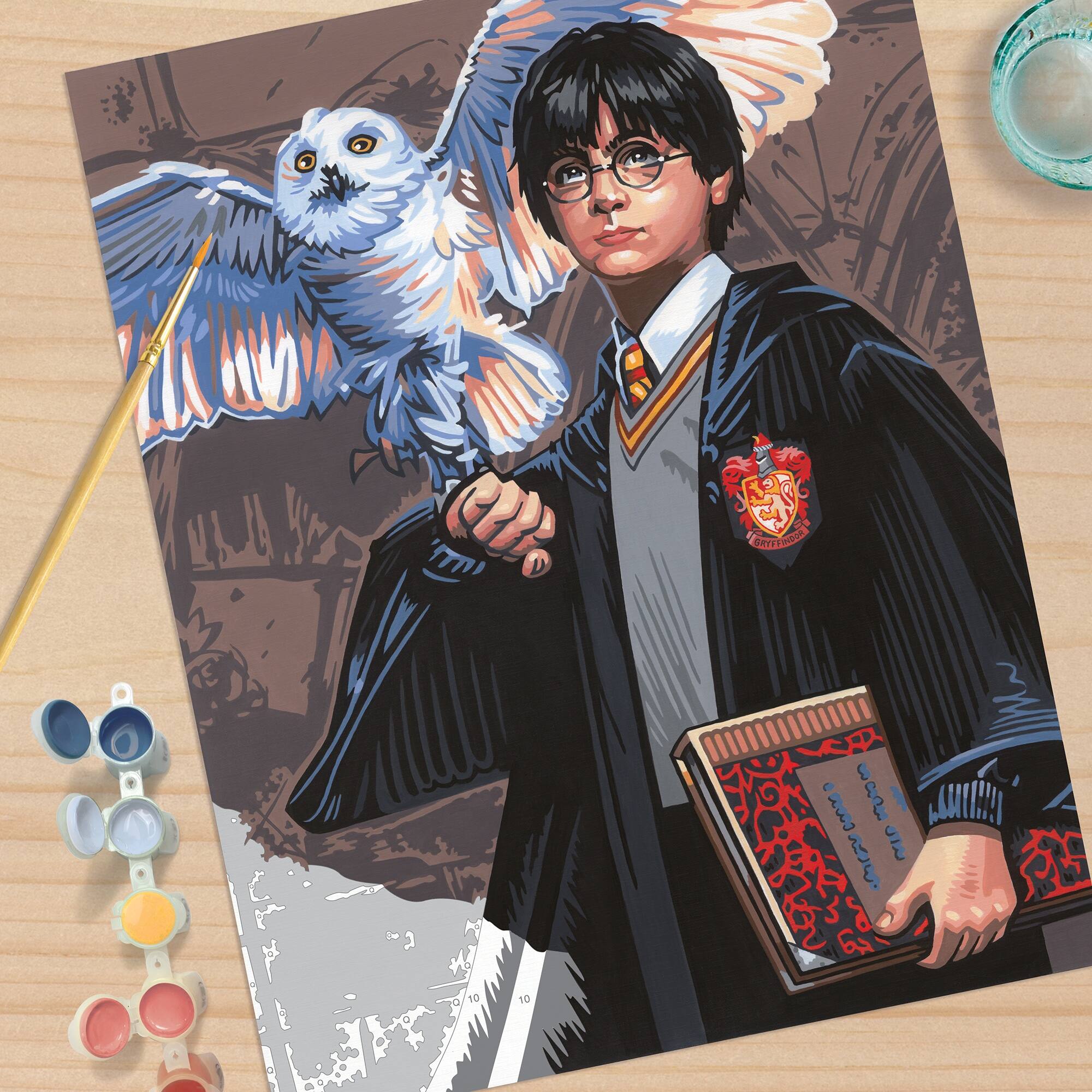 PaintWorks&#x2122; Harry &#x26; Hedwig Paint by Number Kit