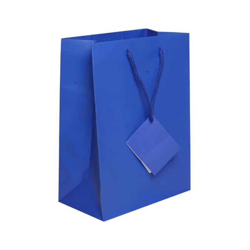 JAM PAPER Gift Bags with Rope Handles, Medium, 8 x 10 x 4, Blue Matte ...
