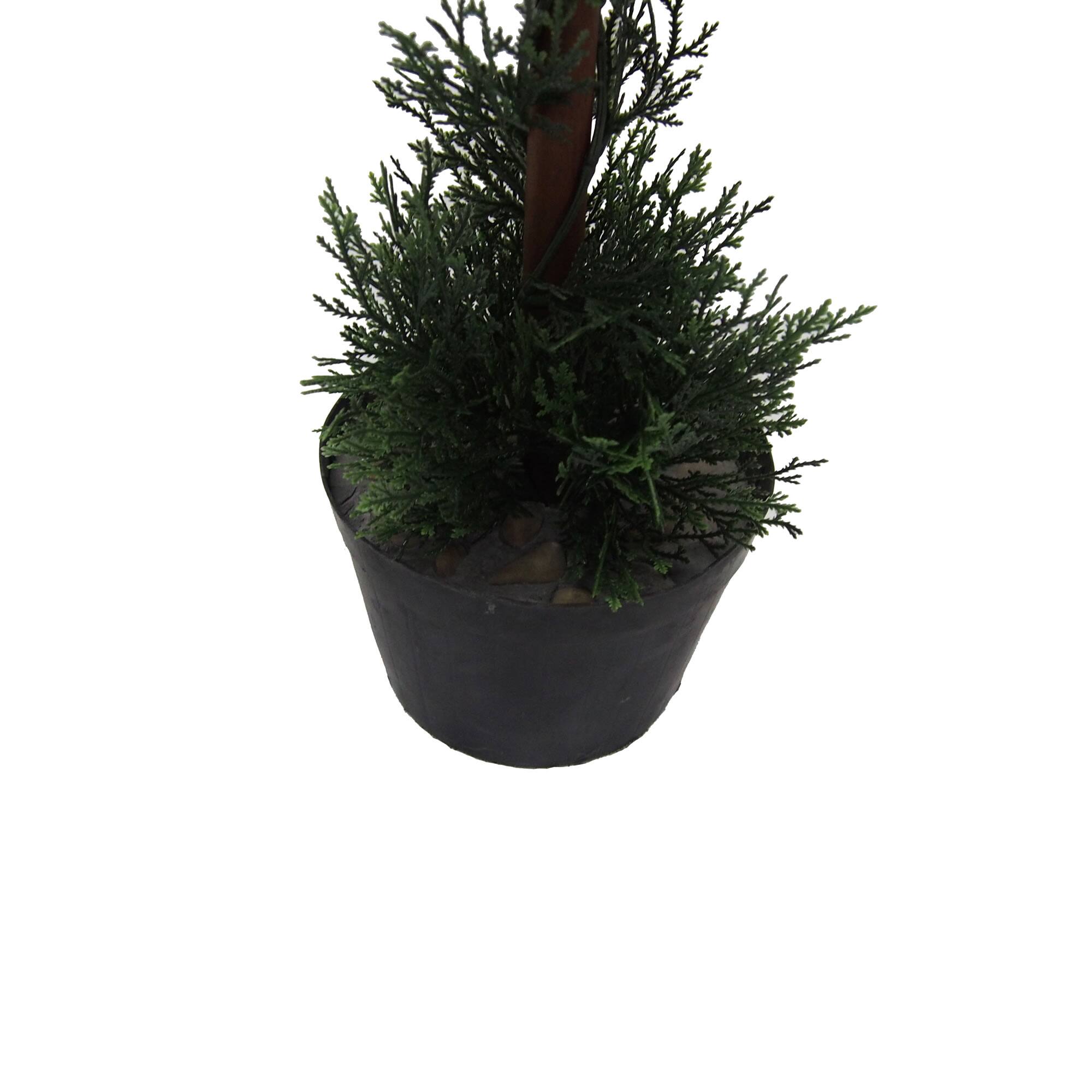 3ft. Potted Cedar Double Ball Topiary Tree