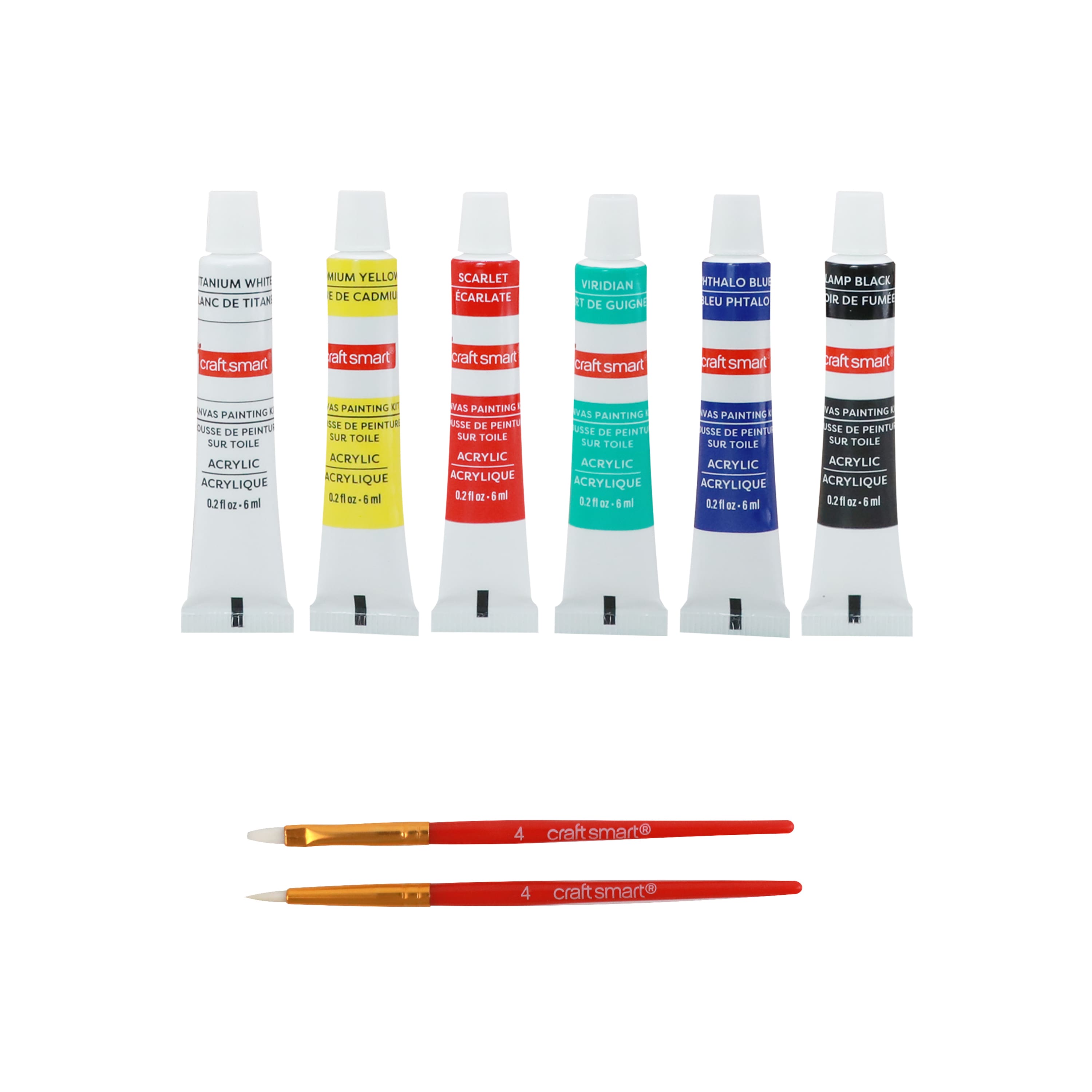 Trousse de peinture sur toile miniature à thème de cactus de Craft Smart