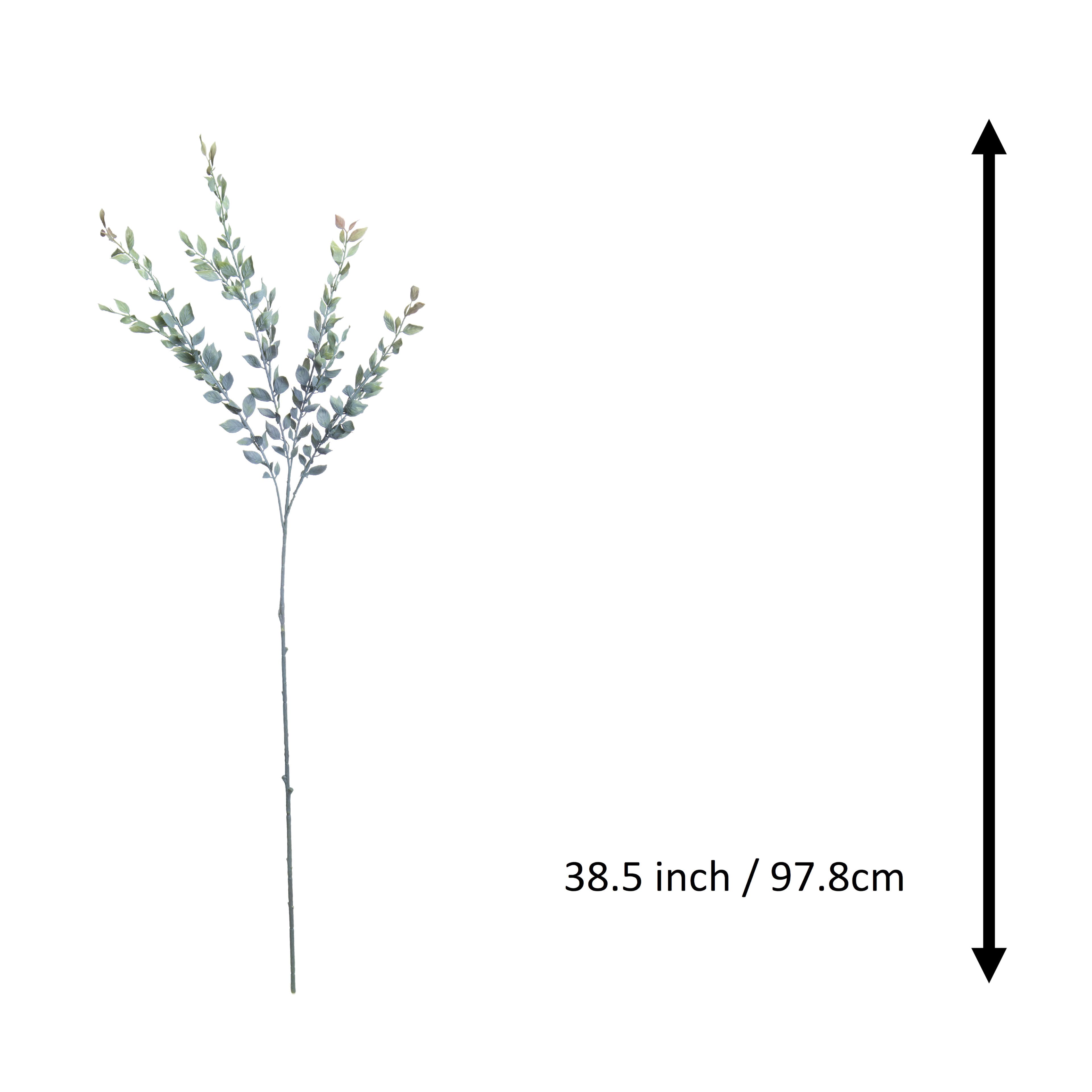 38.5&#x22; Green Ruscus Stem by Ashland&#xAE;