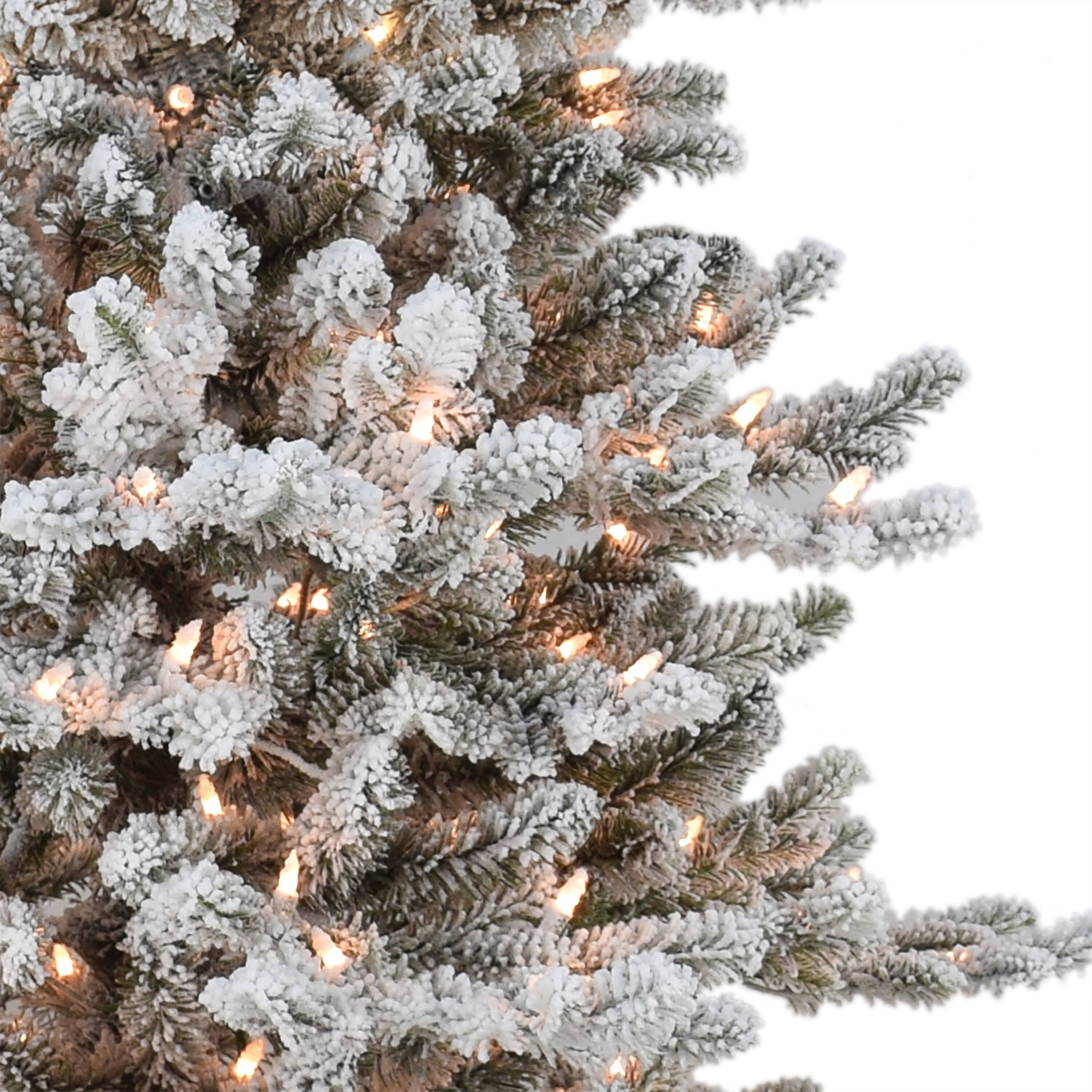 7.5ft. Pre-Lit Slim Flocked Royal Majestic Douglas Spruce Artificial Christmas Tree, Clear Lights