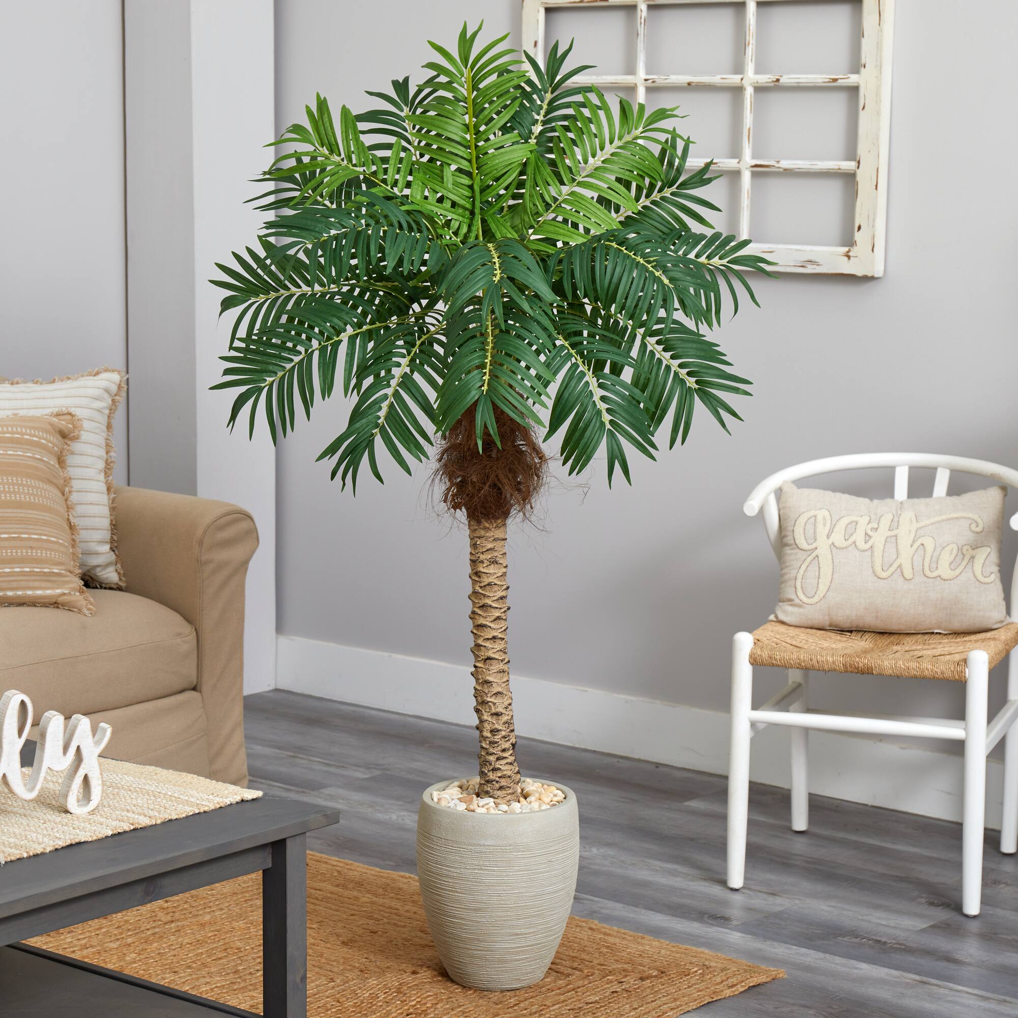 5.5ft. Robellini Palm Tree in Sandstone Planter