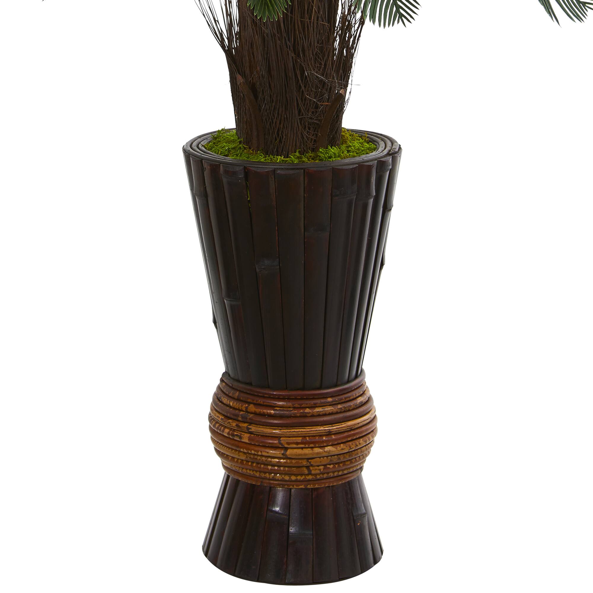 3.5ft. Cycas in Bamboo Planter