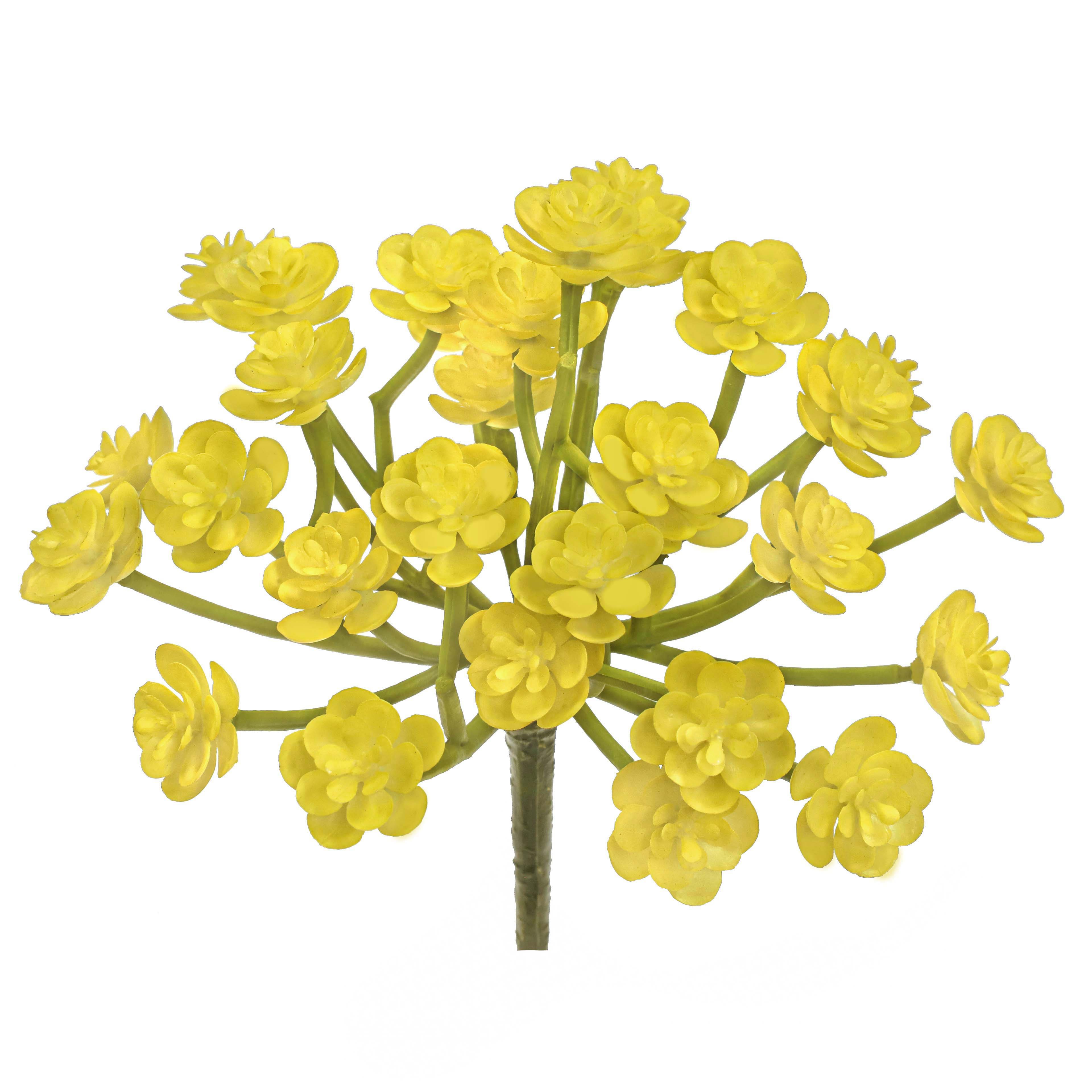 7&#x22; Yellow Echeveria Pick by Ashland&#xAE;