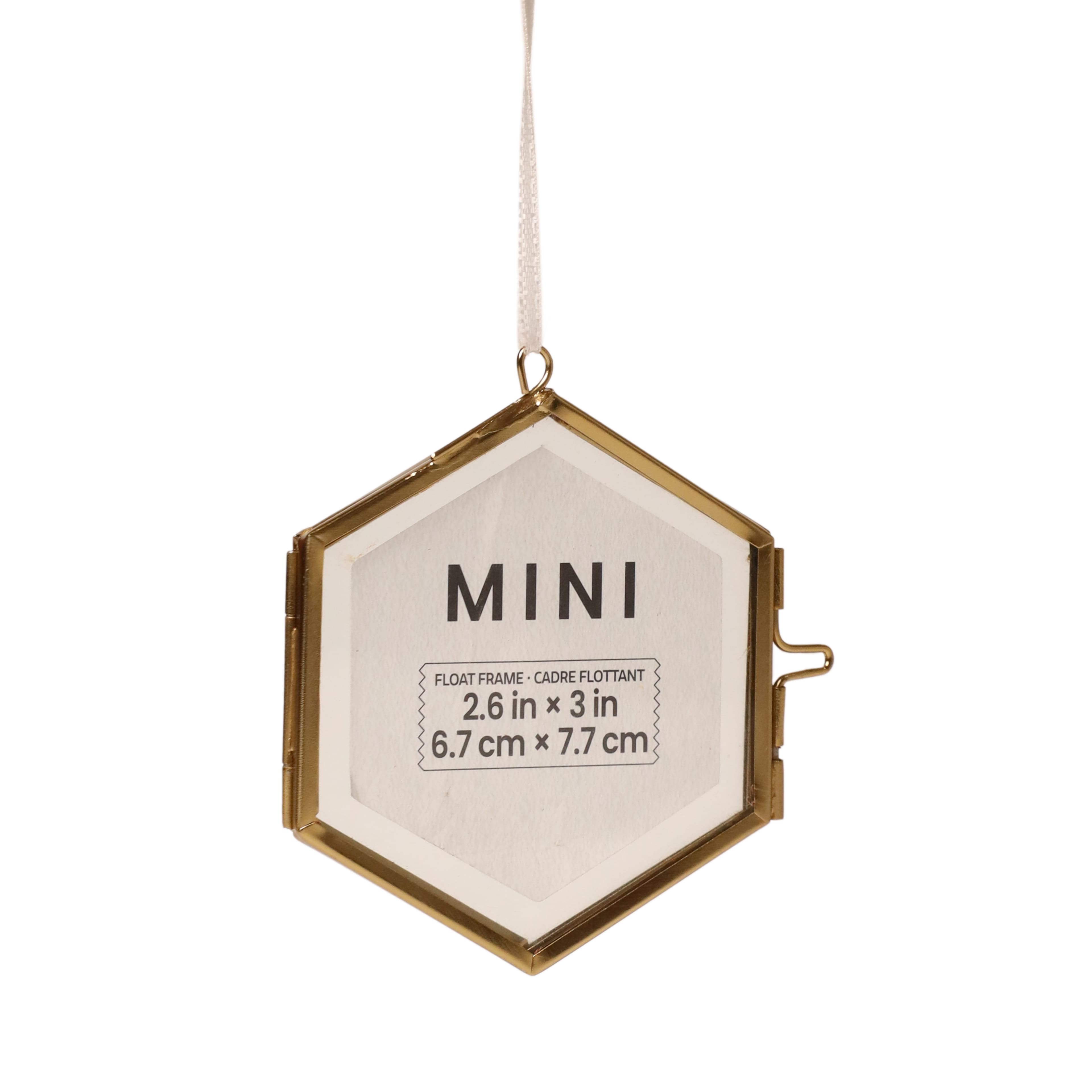 Mini Hexagon Float Frame by Studio D&#xE9;cor&#xAE;