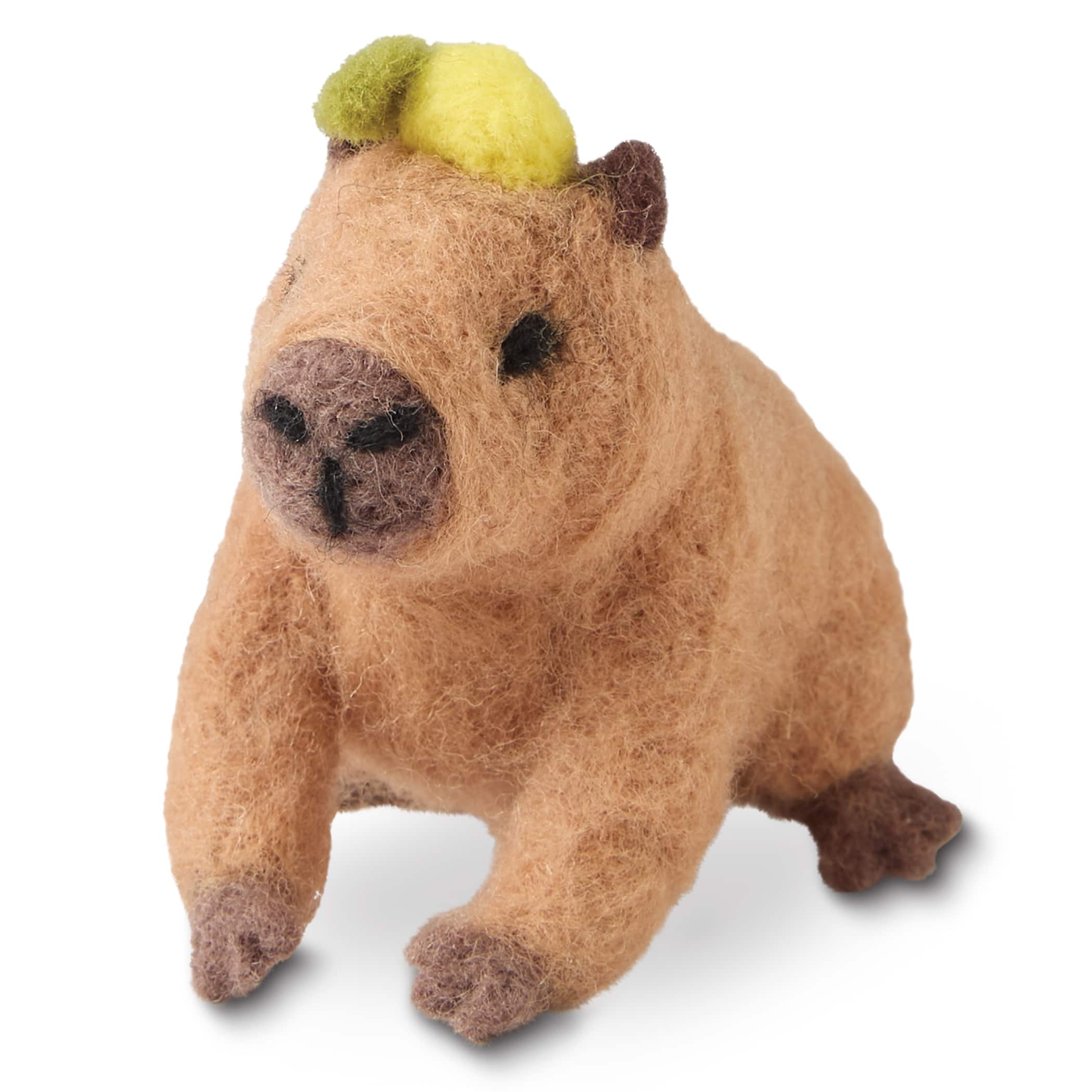 Capybara Felting Kit by Loops & Threads®