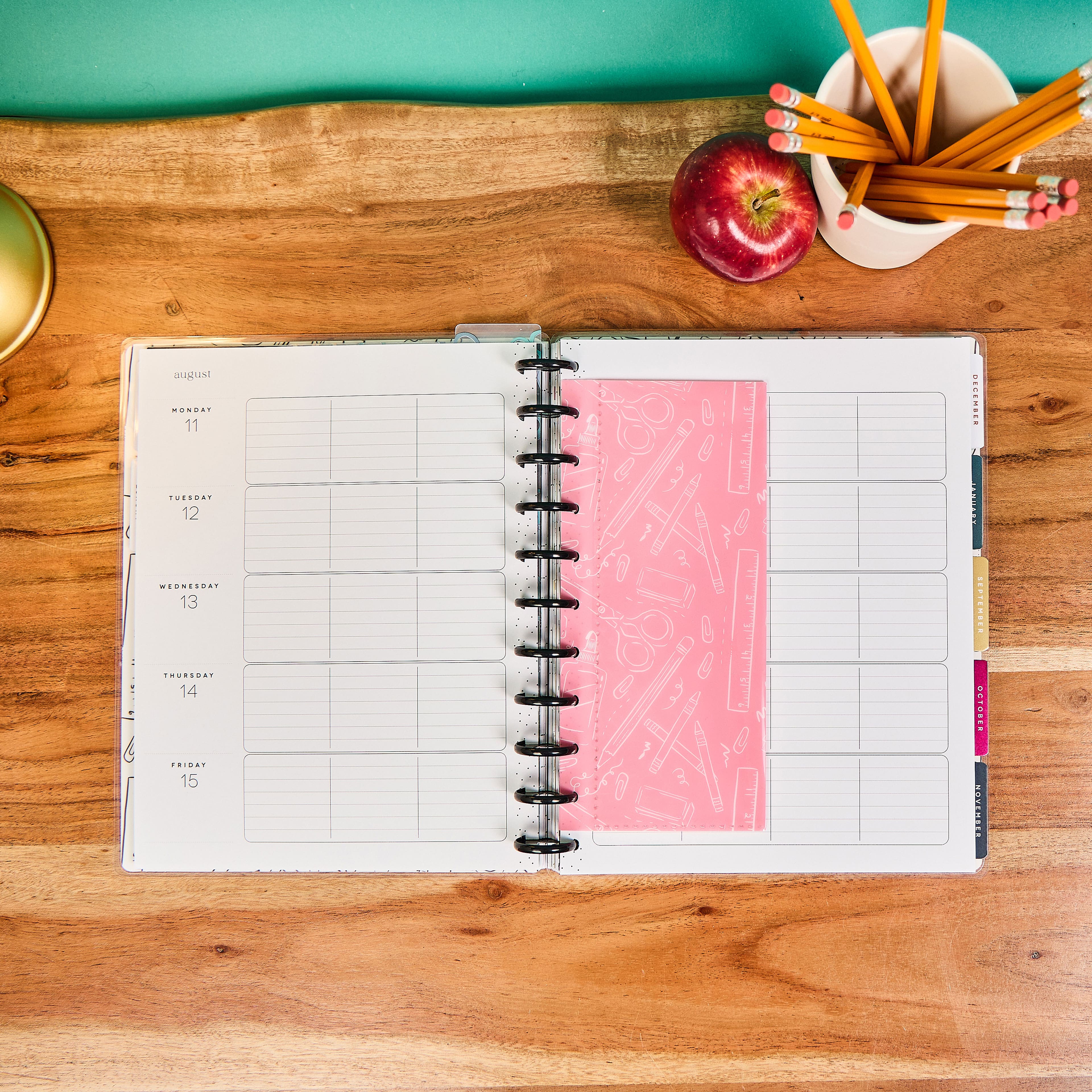 The Big Happy Planner&#xAE; 2025 Pawsitive Teacher 12 Month Planner Box Kit