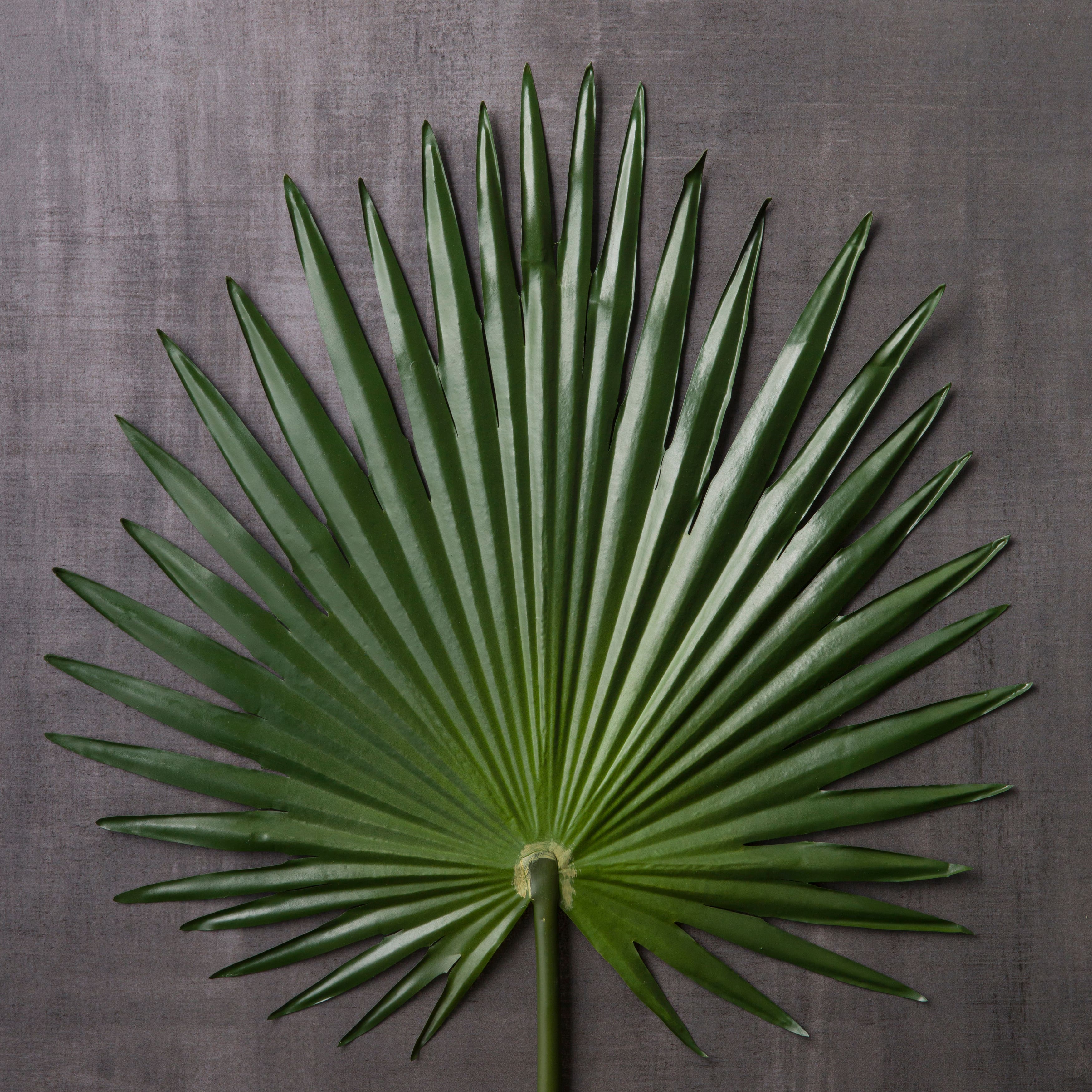8 Pack: Green Fan Palm Stem by Ashland&#xAE;