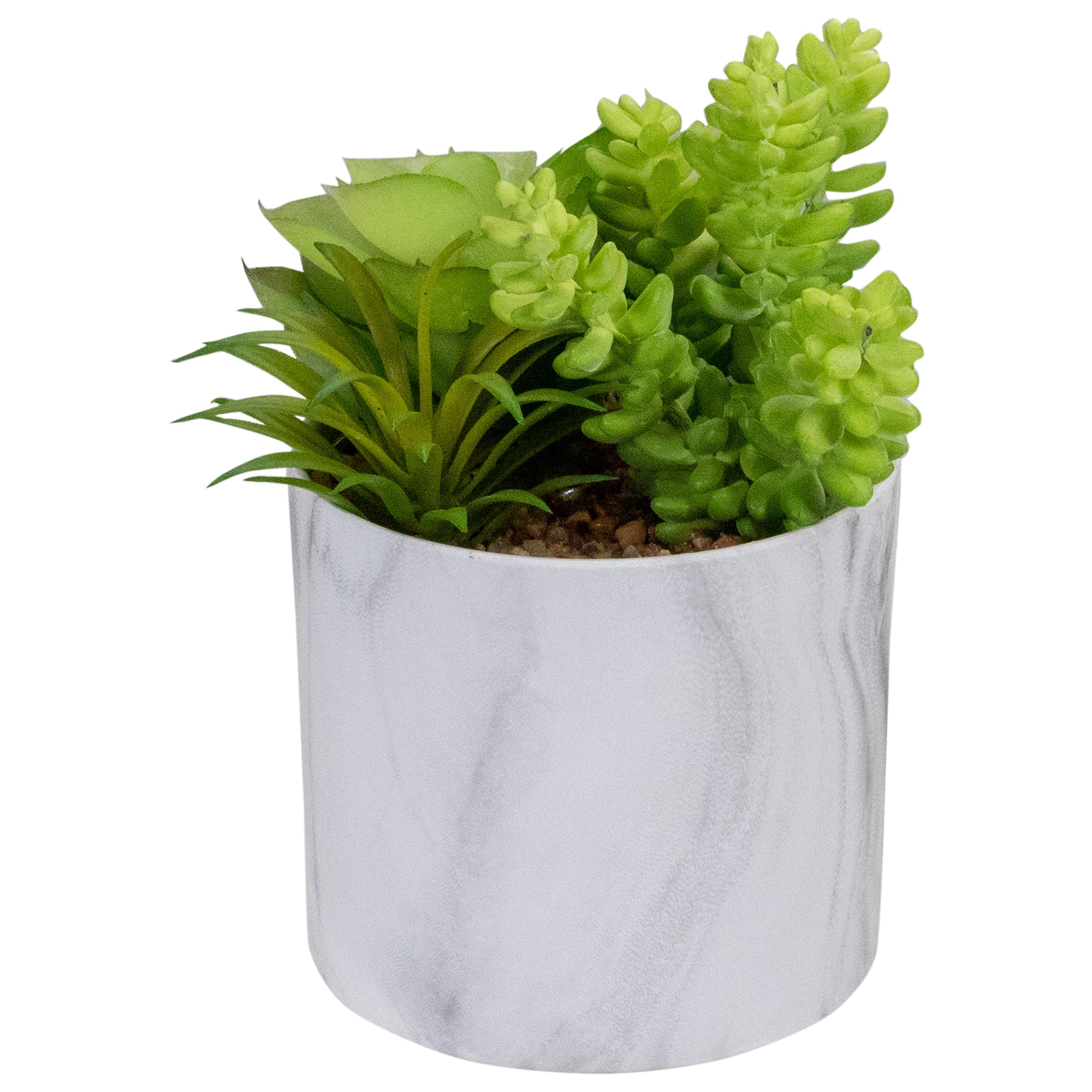 6.5" Green Succulent Arrangement in Faux Marble Pot