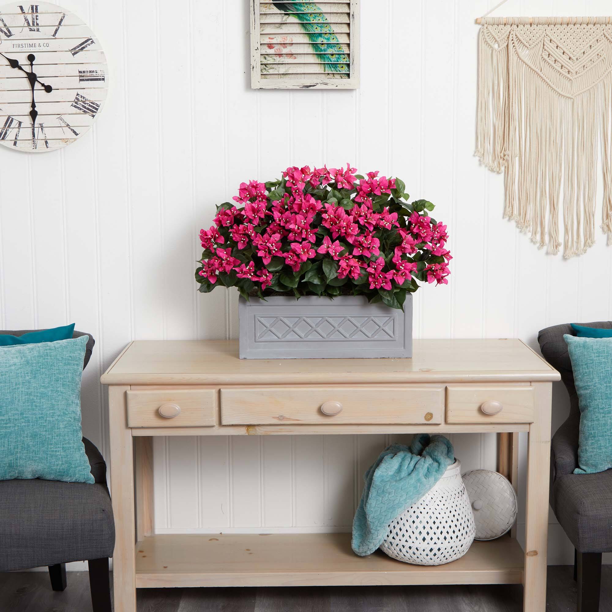 2.5ft. Pink Bougainvillea in Stone Planter