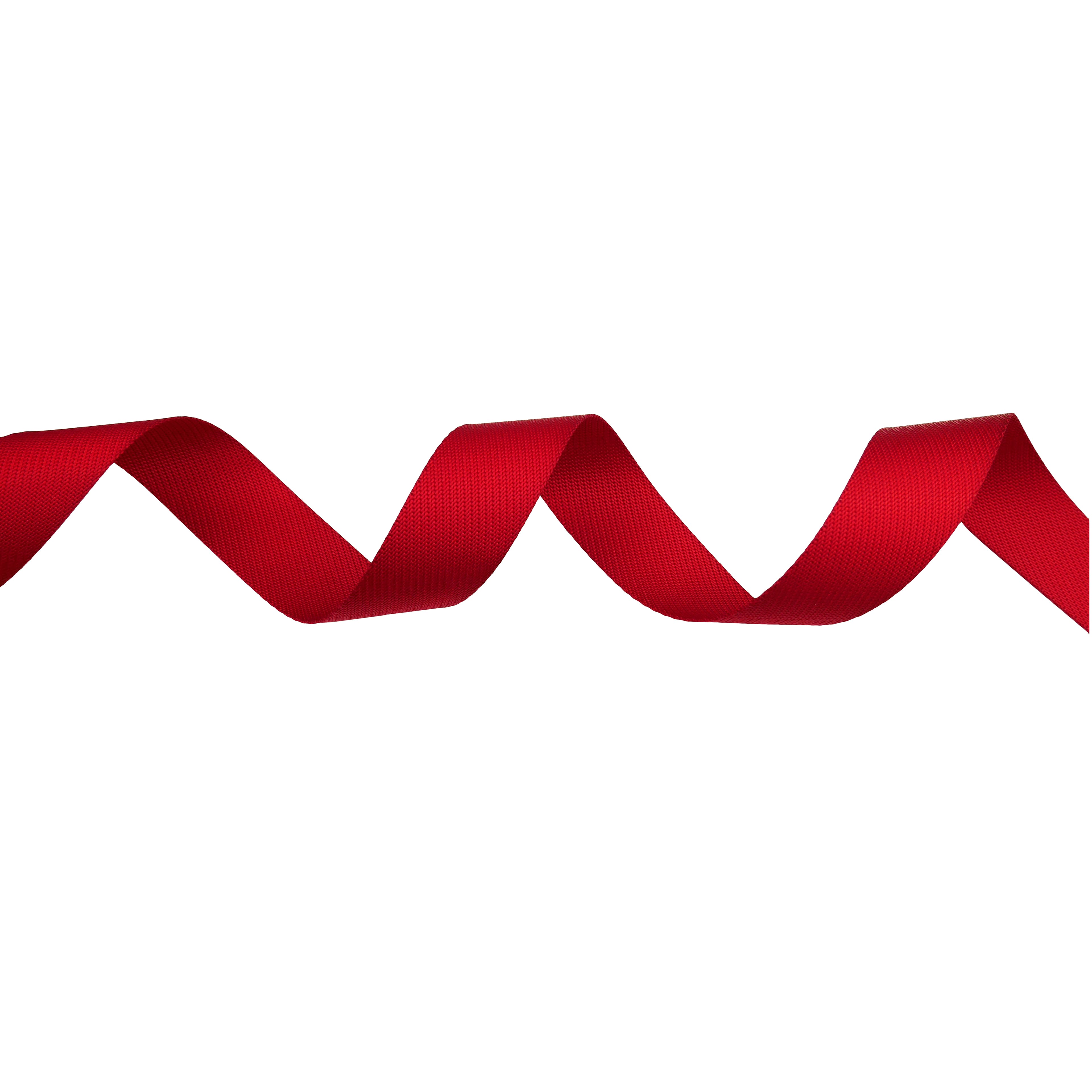 1.5&#x22; Belting Trim by Celebrate It&#xAE;