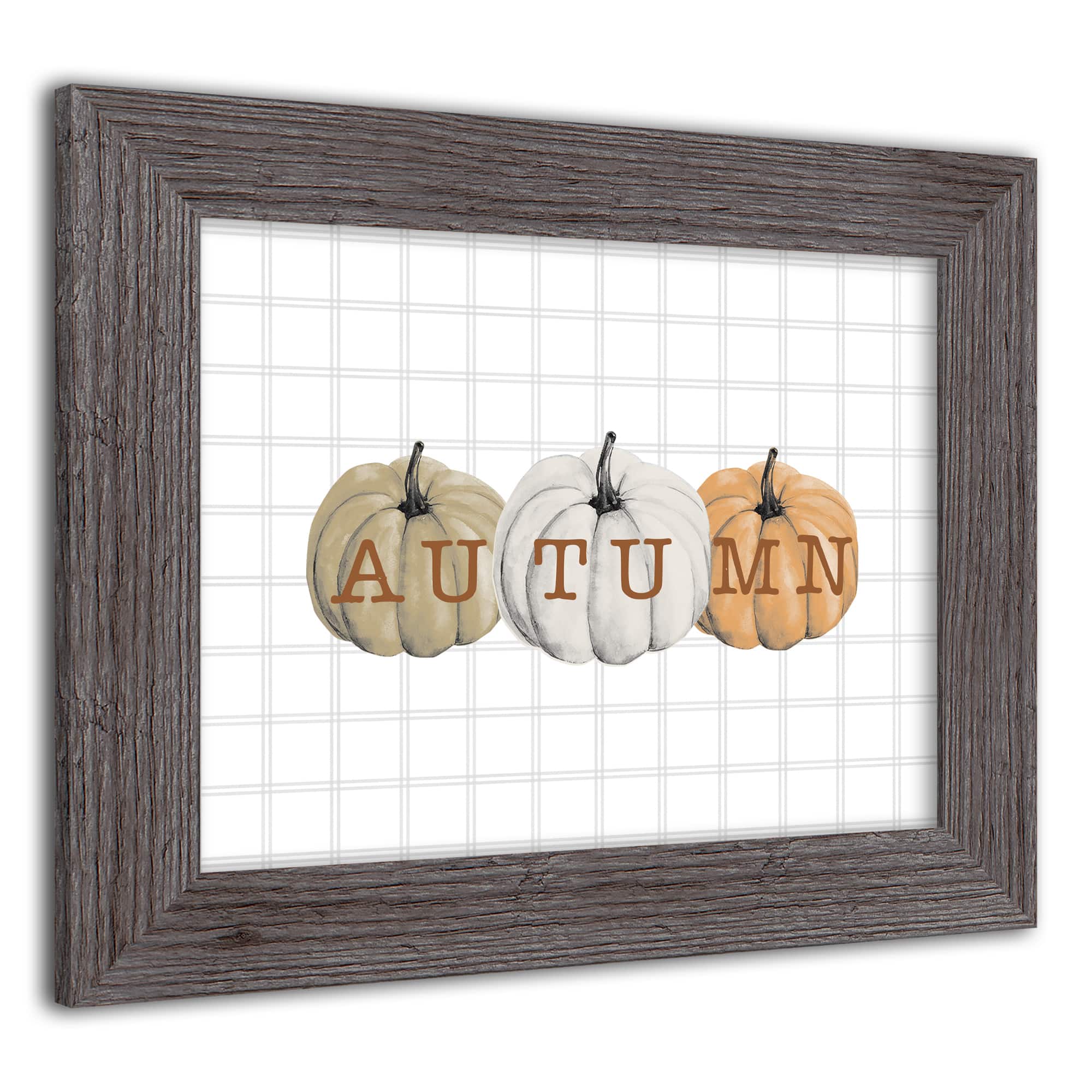 Autumn Pumpkins Western Gray Framed Print