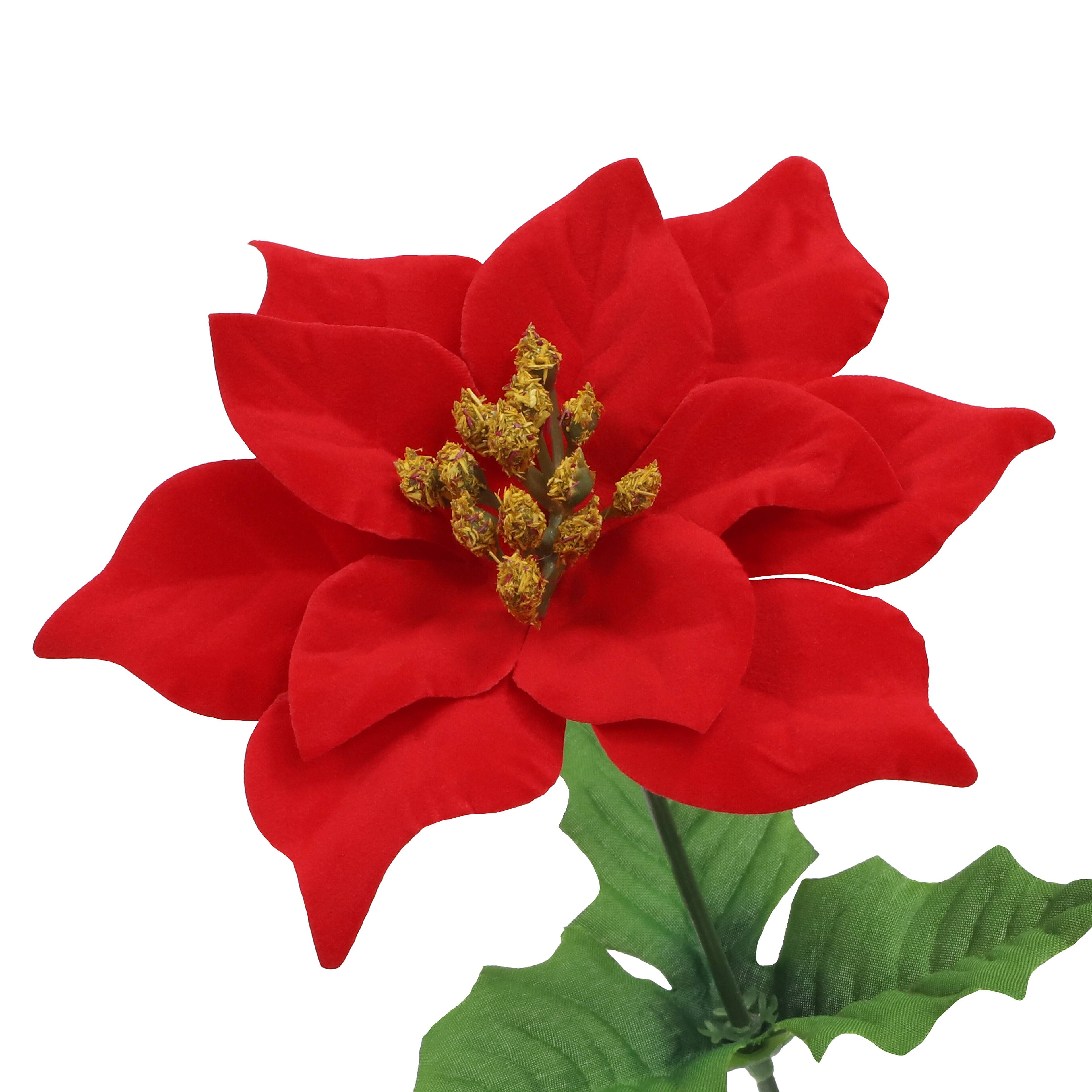 12&#x22; Poinsettia Bush by Ashland&#xAE;
