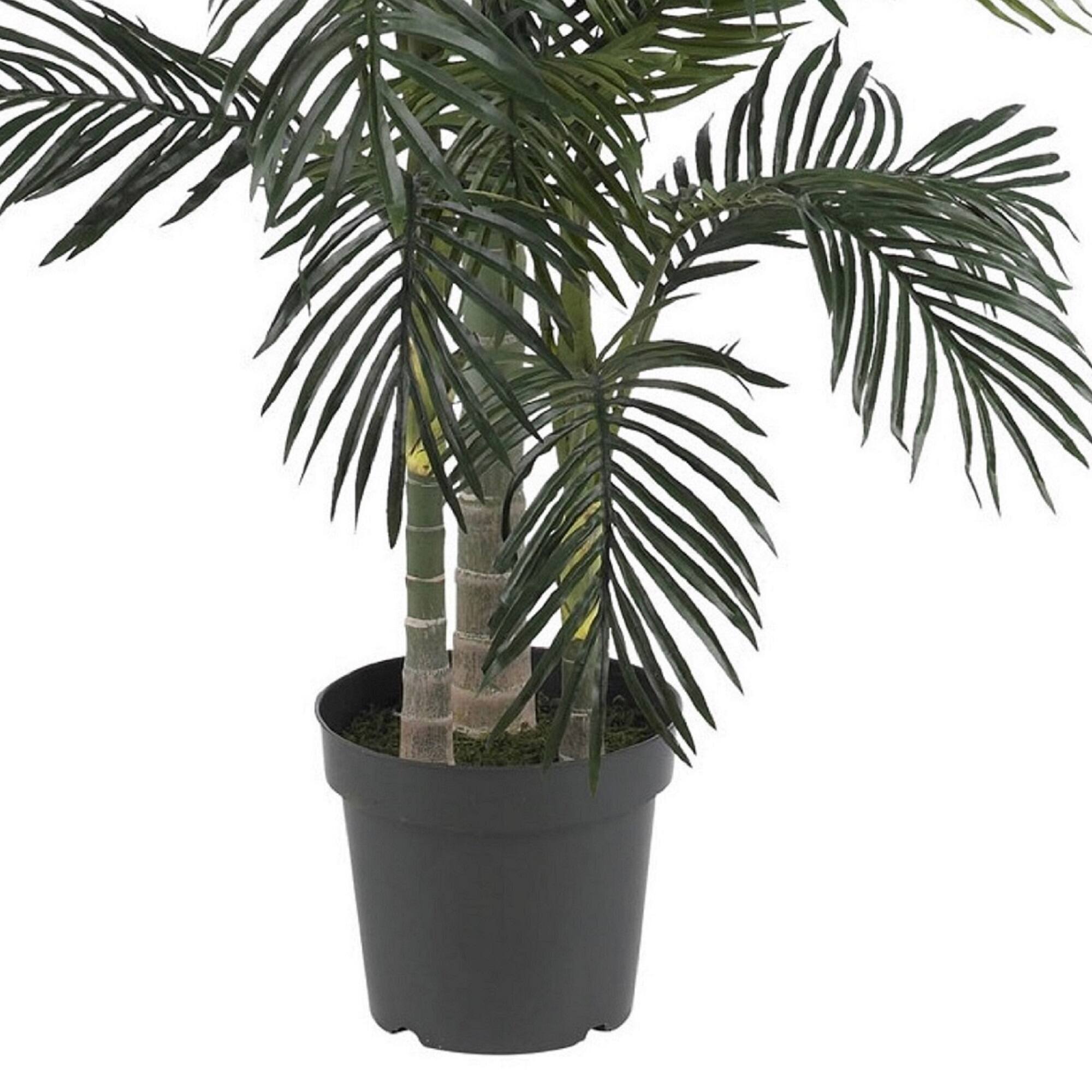 6.5ft. Potted Golden Cane Palm Tree