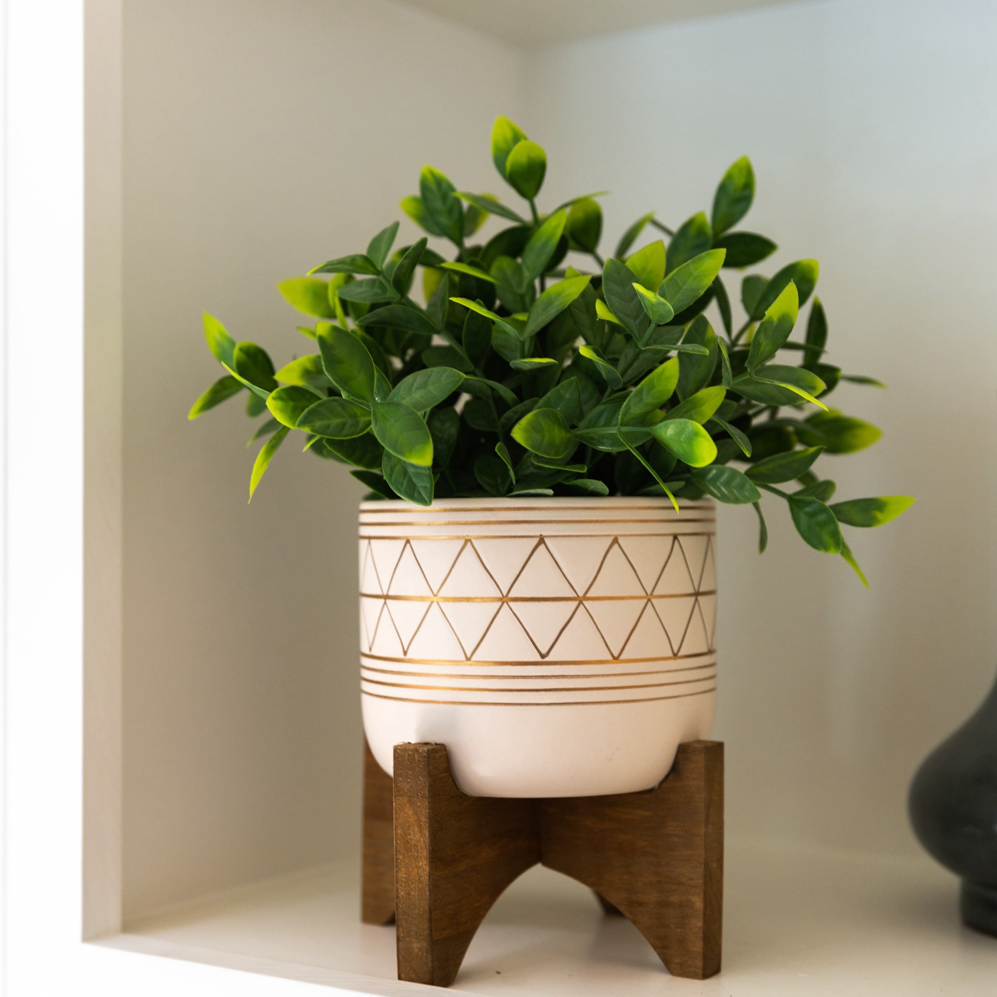 Flora Bunda&#xAE; 11&#x22; Tea Plant in Geo Ceramic Footed Pot