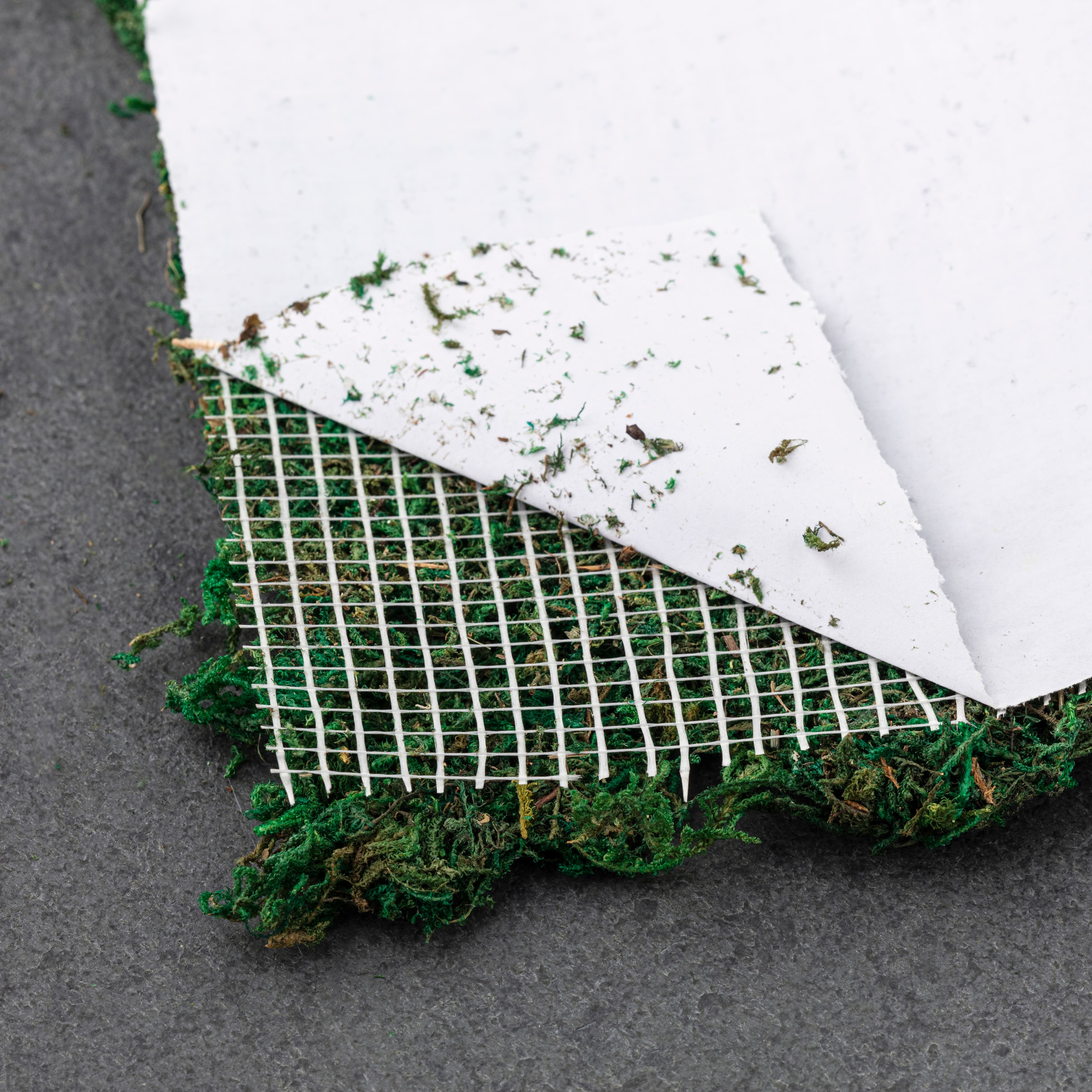 Chemin de table en mousse d’Ashland