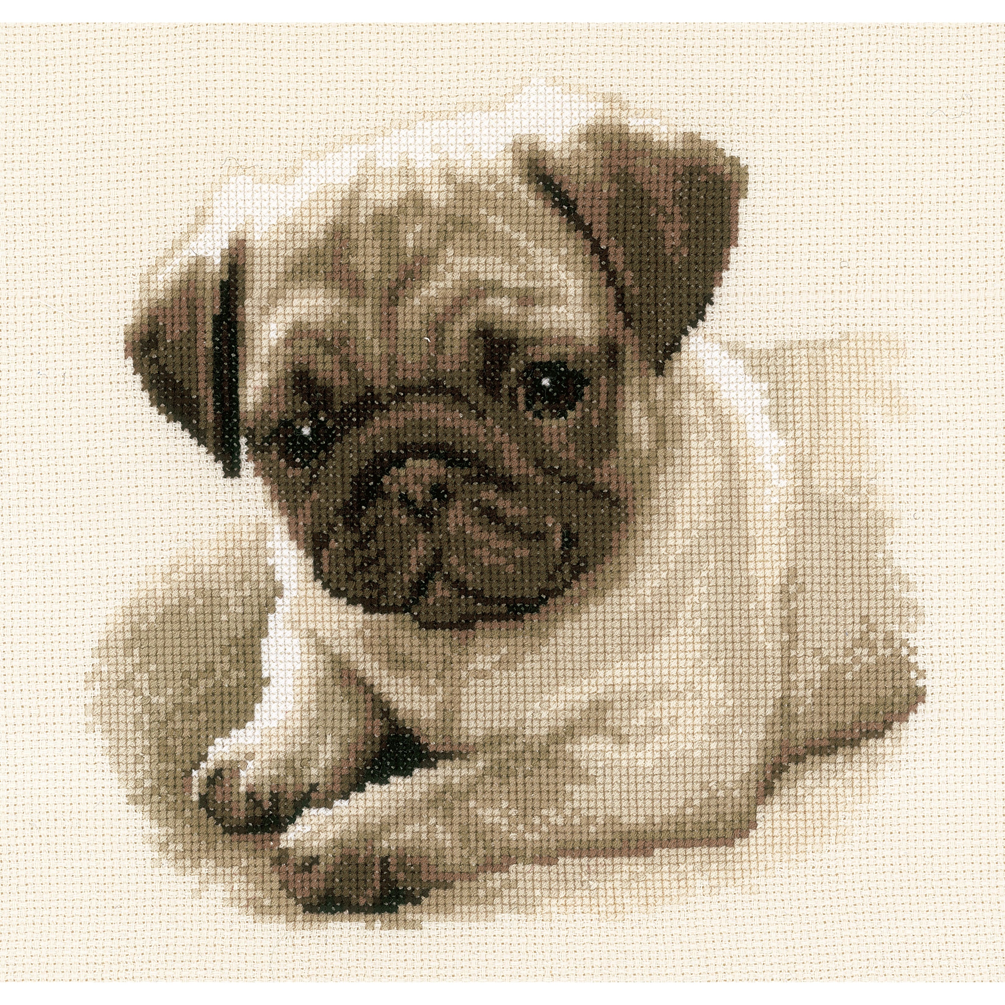 Vervaco Pug Dog on Aida Counted Cross Stitch Kit