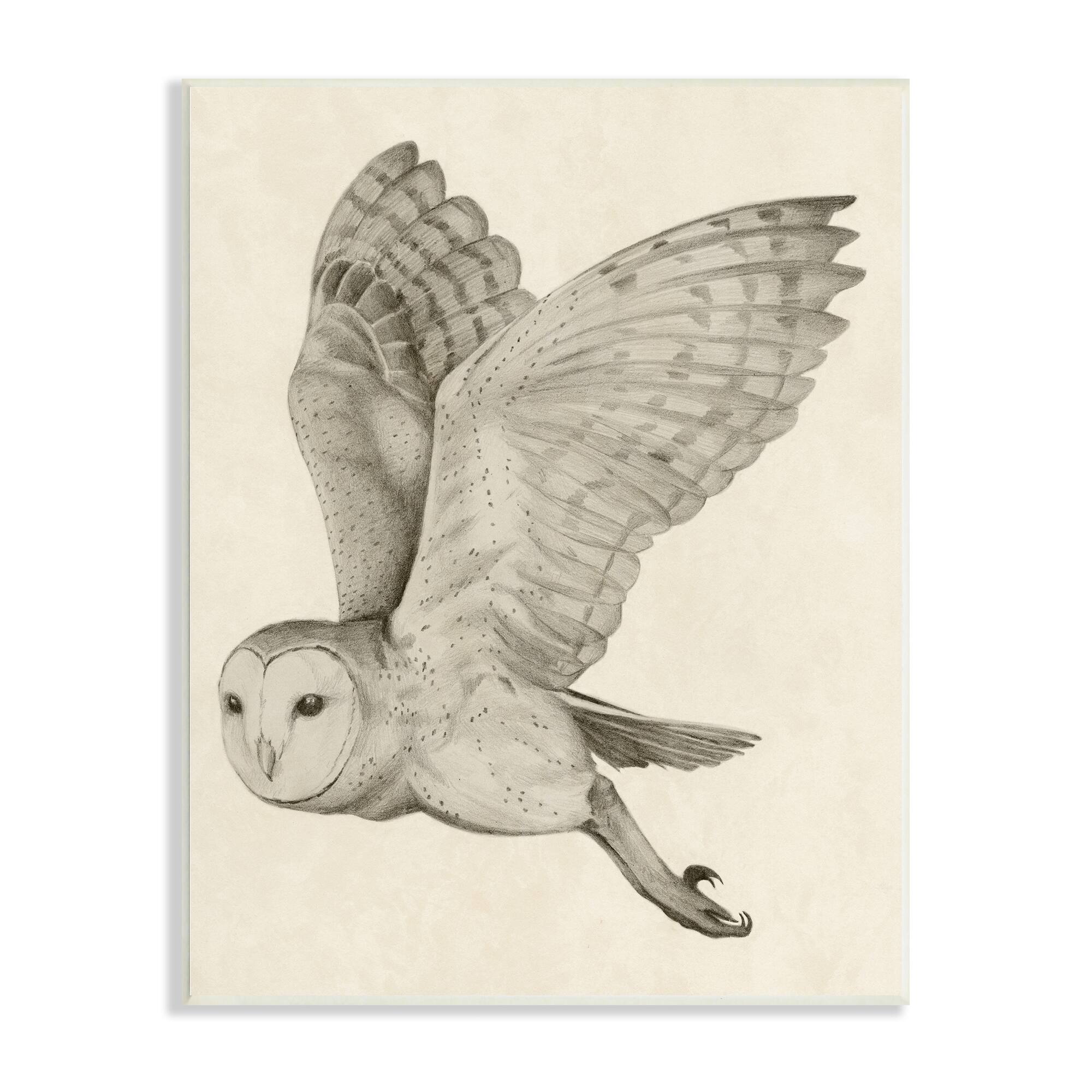 Stupell Industries Flying Barn Owl Wings Detailed Drawing Wall Plaque Art