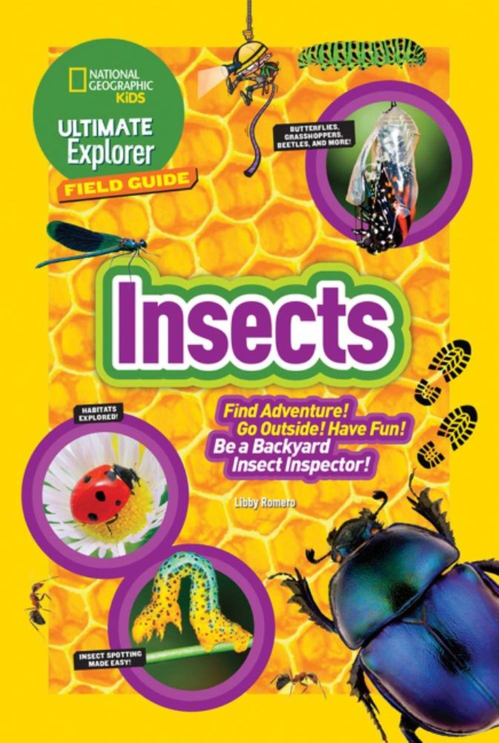 Ultimate Explorer Field Guide Insects - 