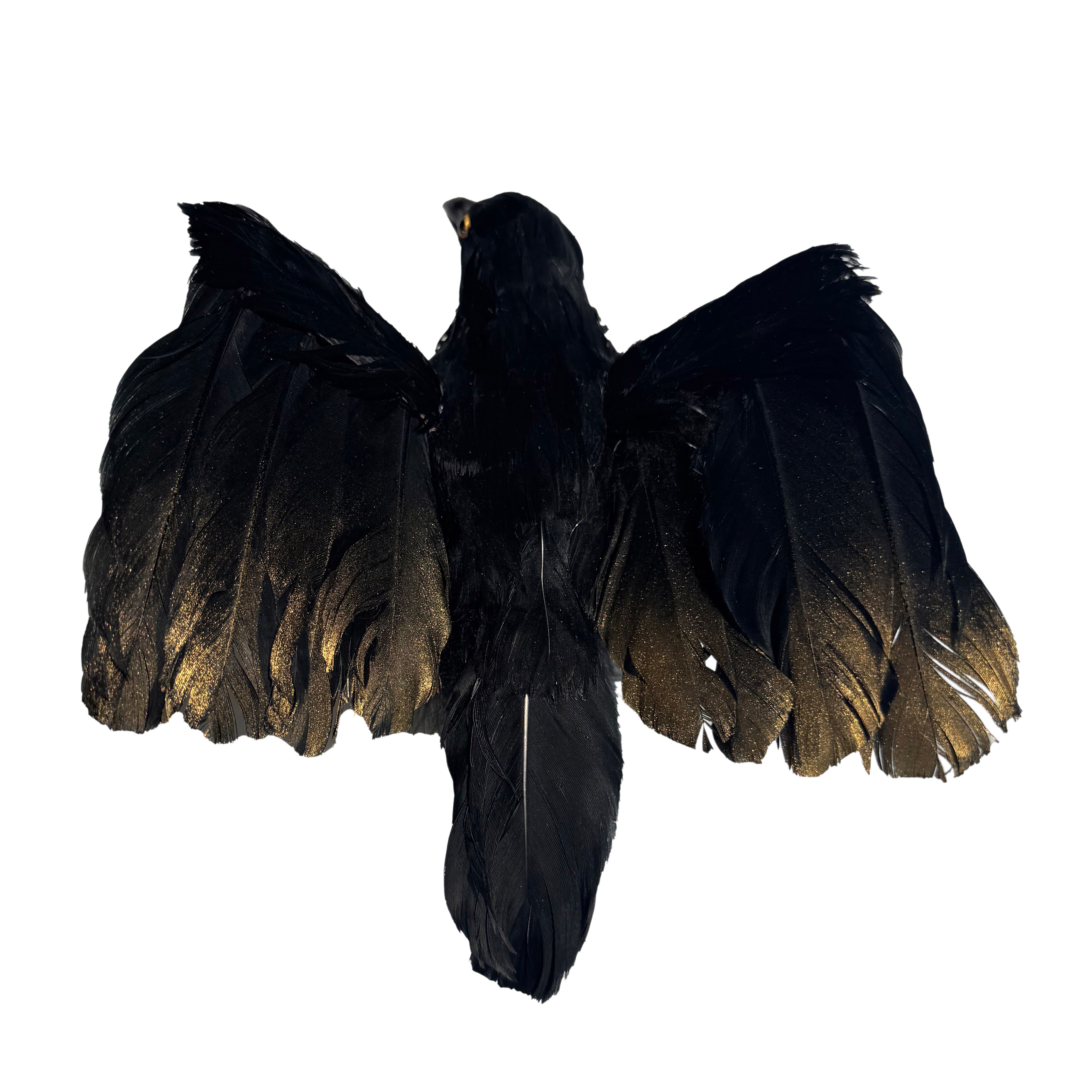 6&#x22; Black Flying Crow by Ashland&#xAE;