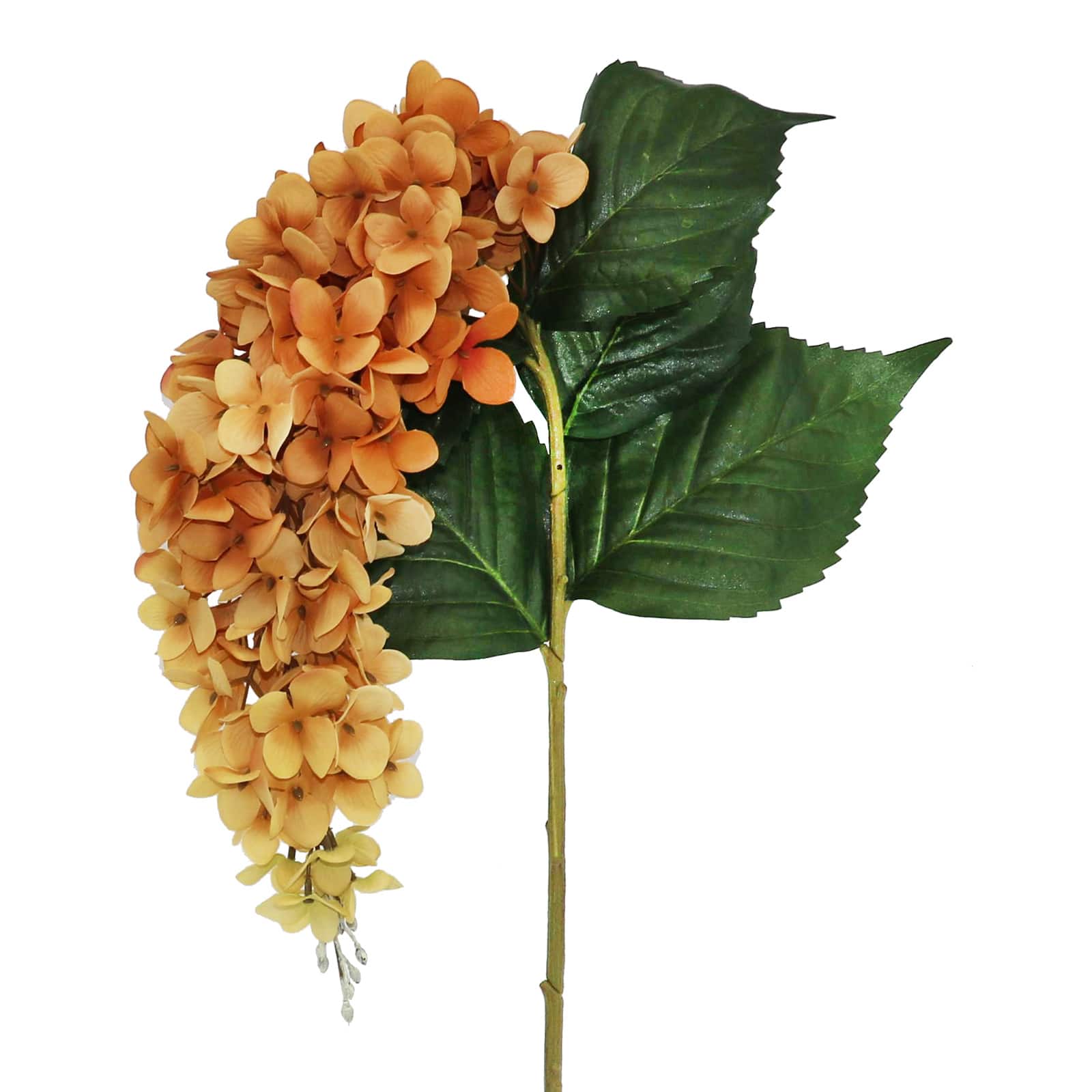 27" Brown & Cream Wisteria Stem by Ashland®