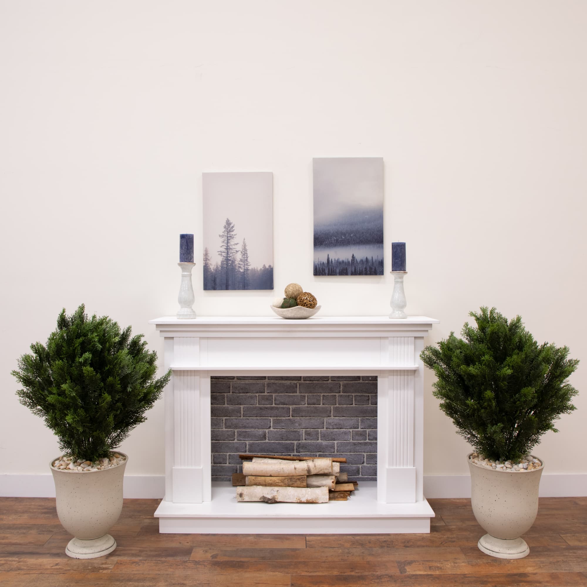3ft. Potted UV Resistant Cedar Trees, 2ct.