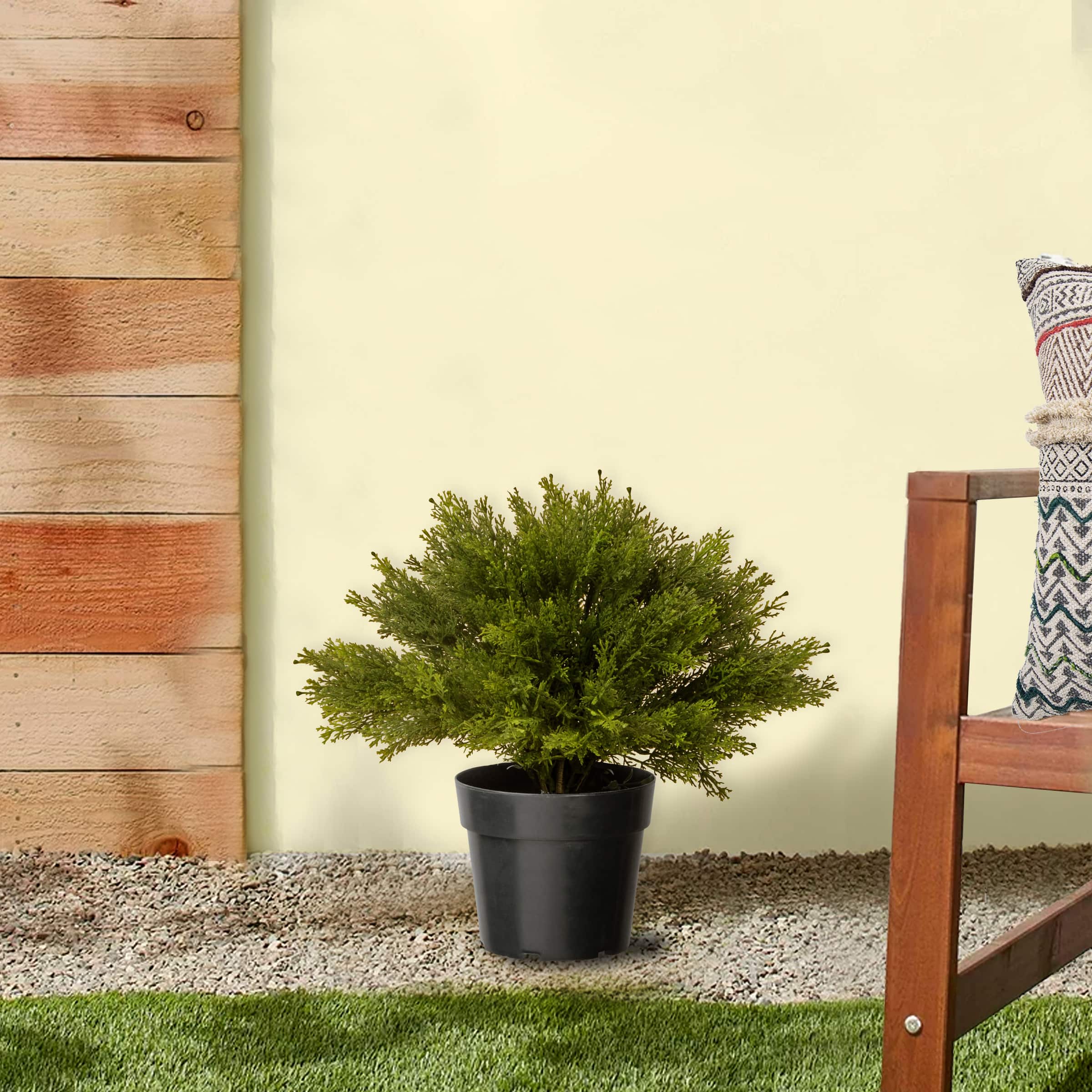 15" Globe Cedar Tree