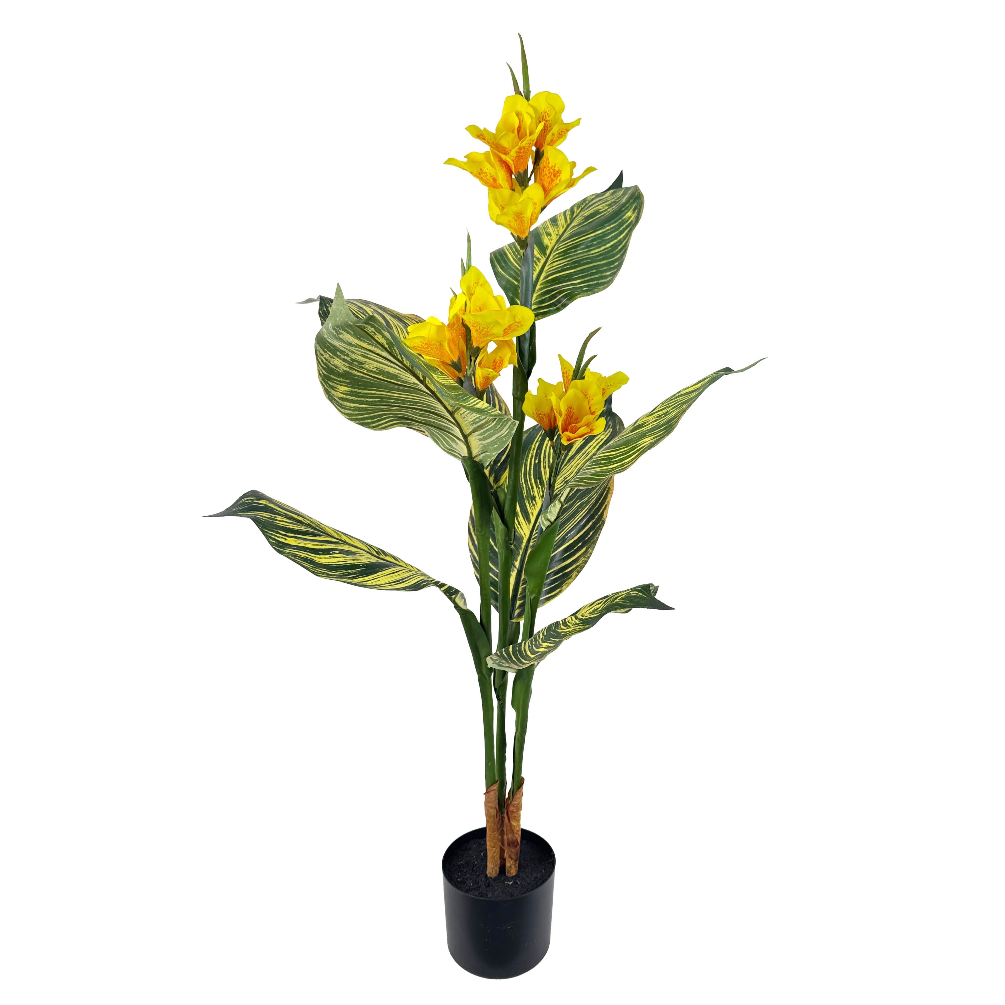 3.5ft. Potted Yellow Canna Lily Plant by Ashland&#xAE;