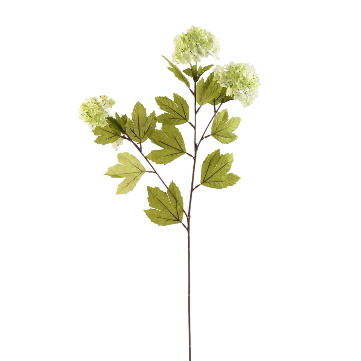 Snowball Spray Floral Essentials by Ashland®