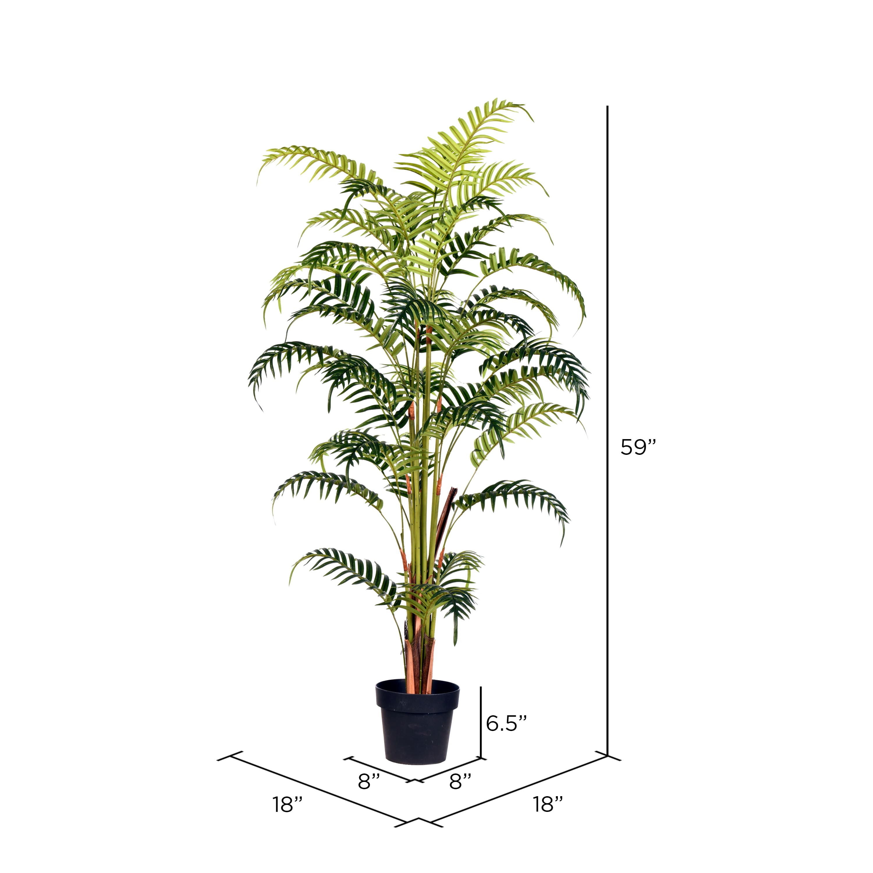 5ft. Artificial Potted Fern Palm with Real Touch Leaves