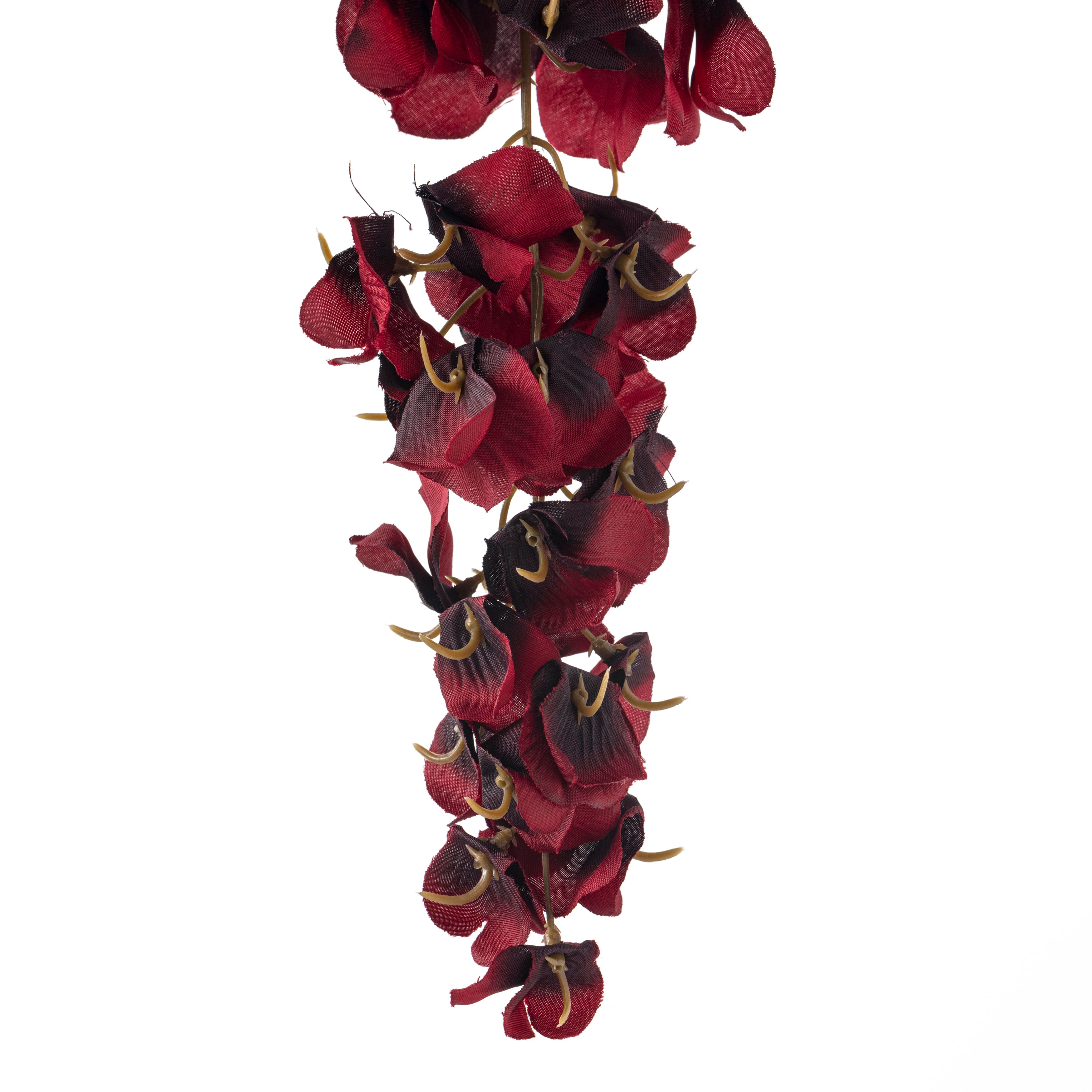 12 Pack: Burgundy Wisteria Stem by Ashland®