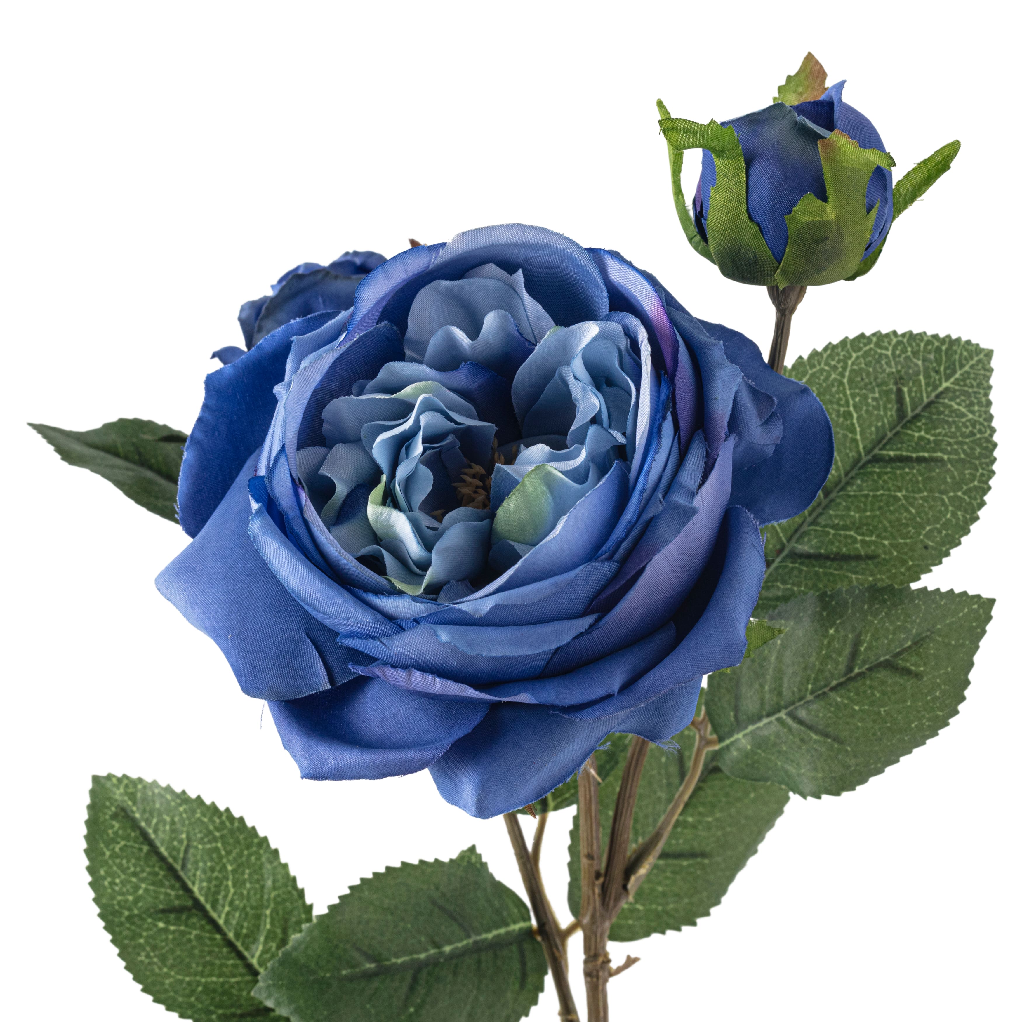 12 Pack: Blue English Rose Stem by Ashland&#xAE;