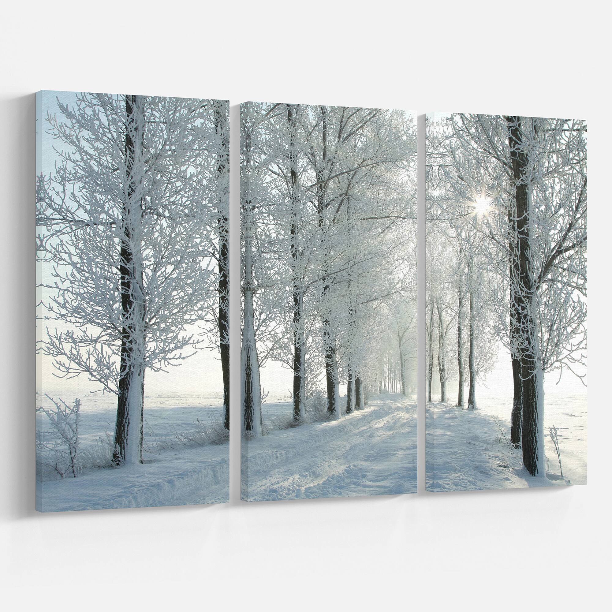 Designart - Winter Trees Backlit by Morning Sun - Large Forest Canvas Art Print
