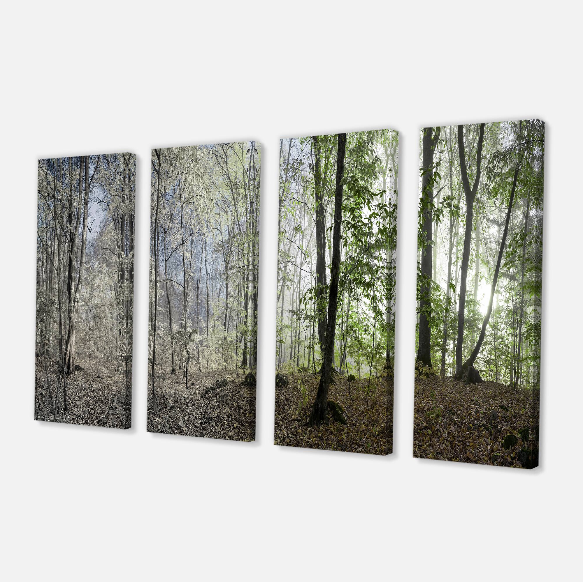 Designart - Green Morning in Forest Panorama - Landscape Canvas Art Print