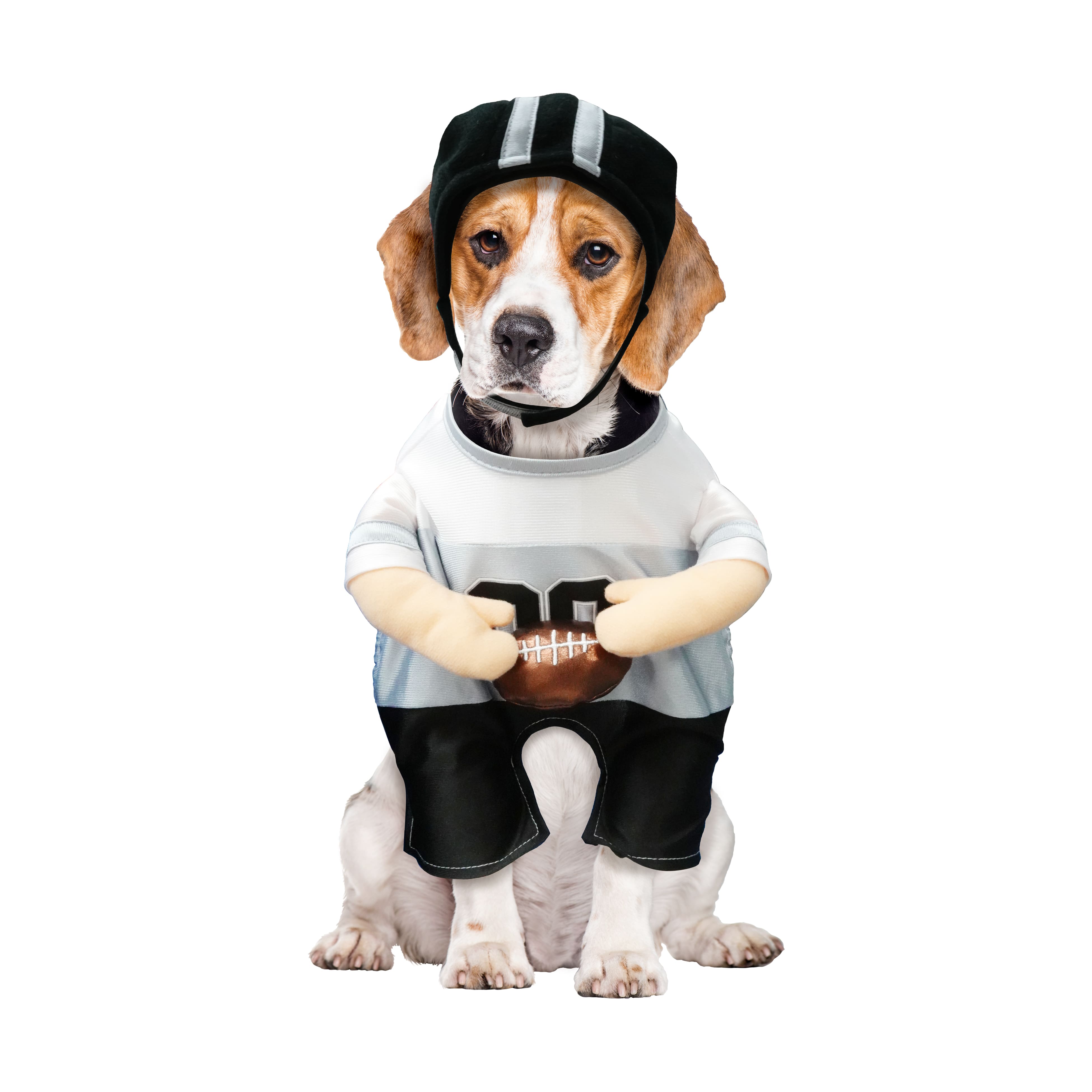 Best Furry Friends Football Player Pet Costume