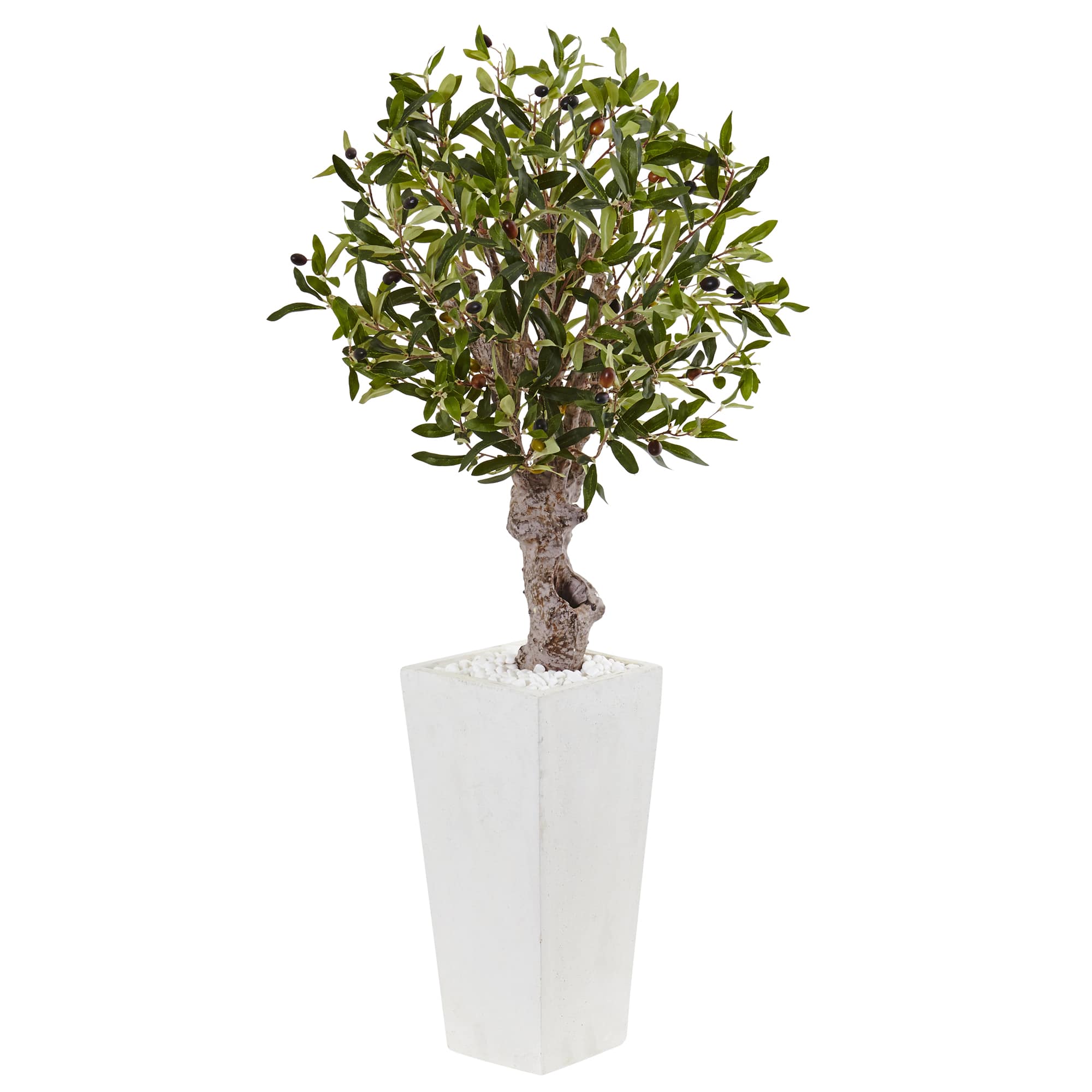 3.5ft. Olive Tree in White Tower Planter